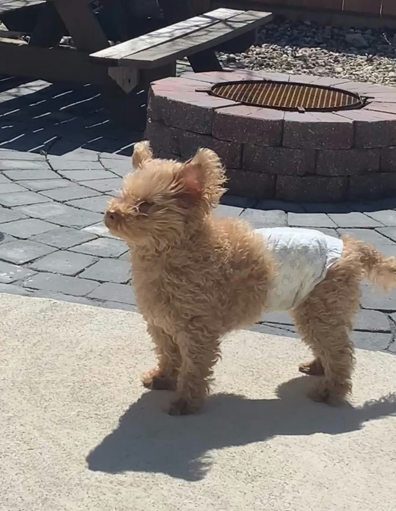 Go to Harman Tatla's profile