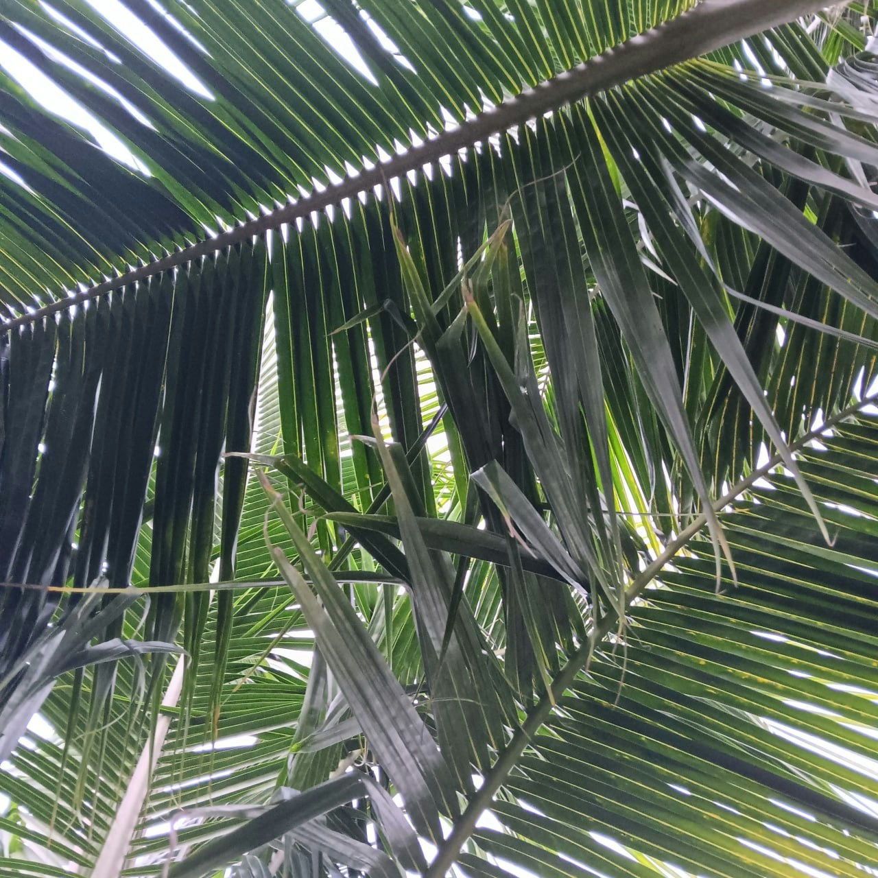 Go to Amanda's profile