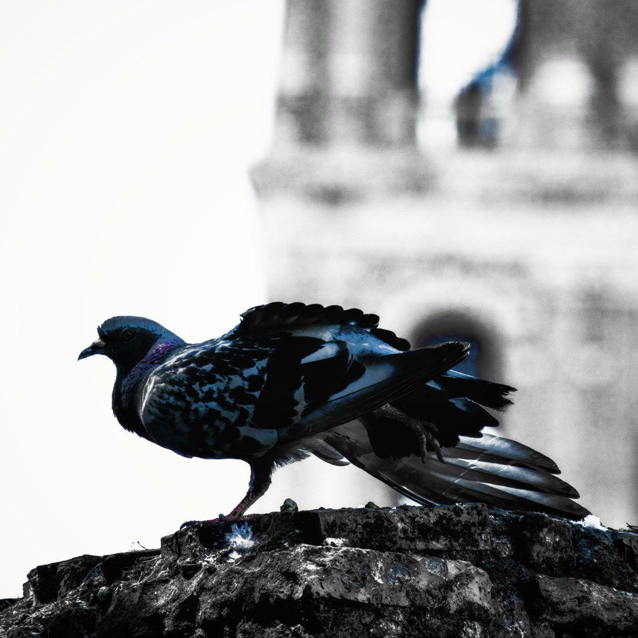 Avatar of user Bosco Yun