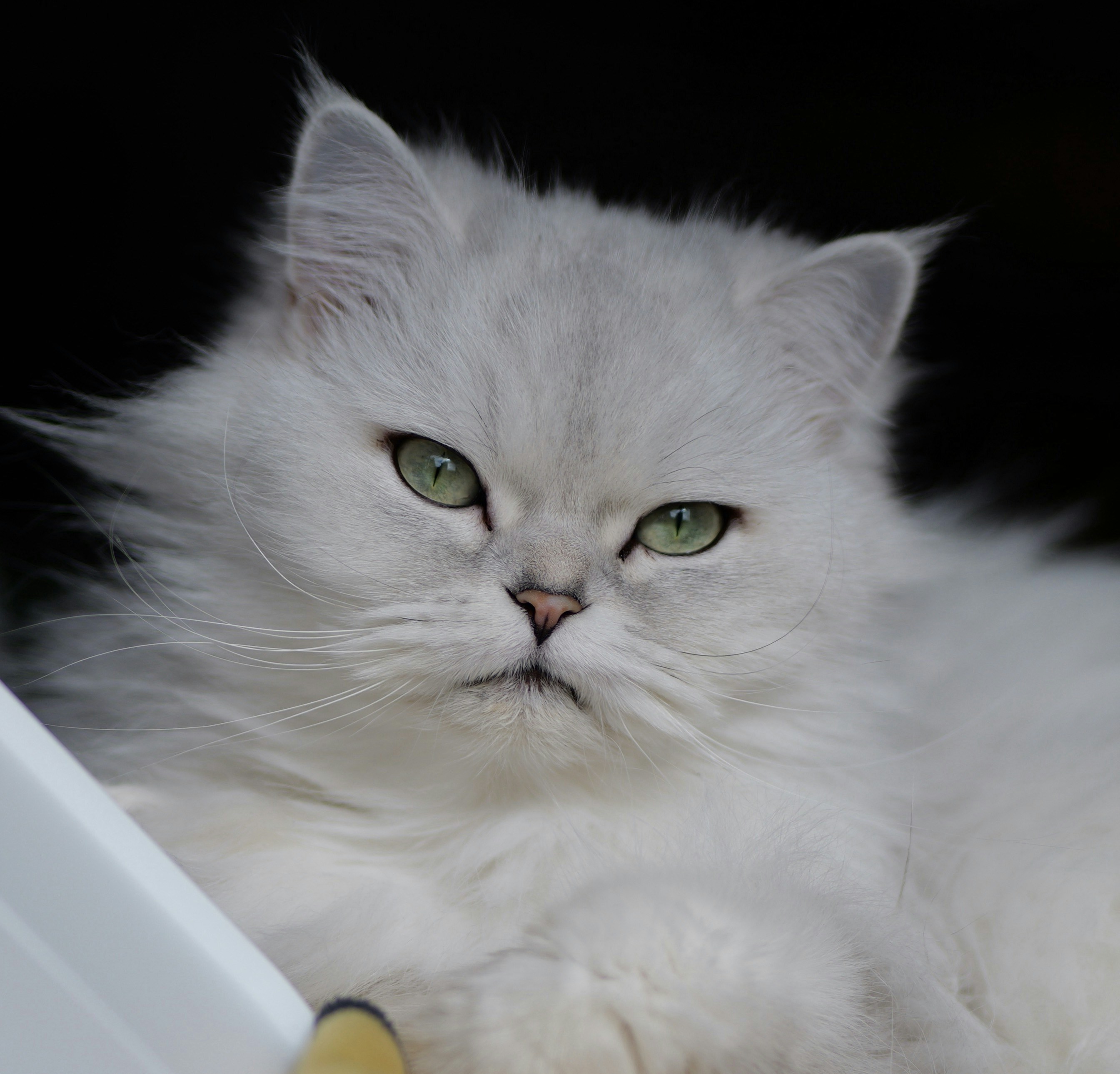 Go to Rich Xu's profile