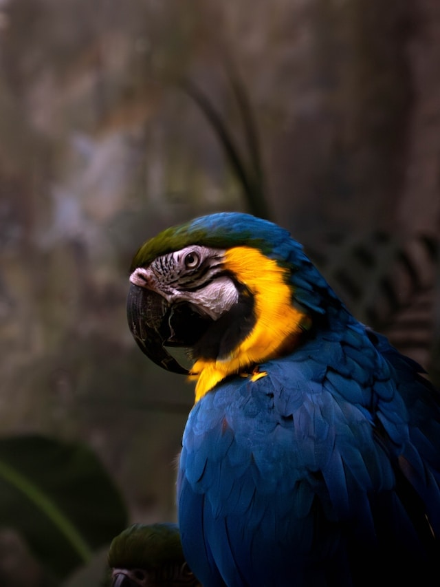 Go to Pablo Fernández's profile