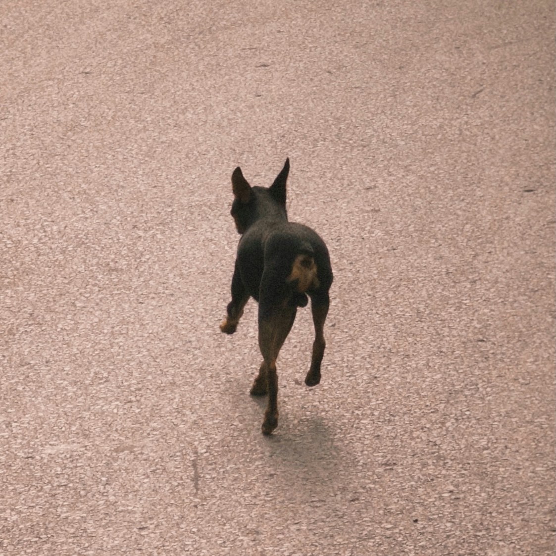 Go to Chew Chew's profile