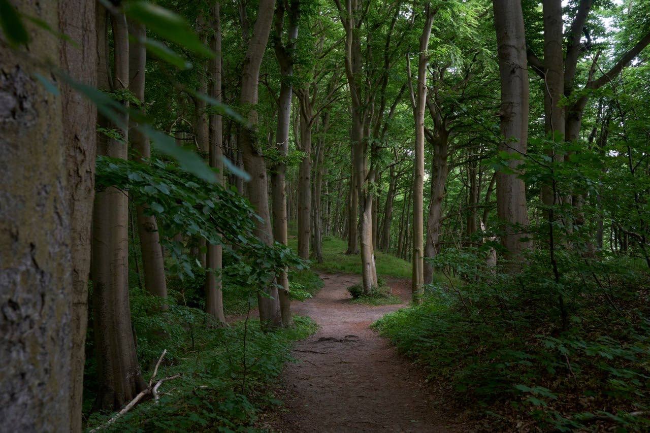 Go to July's profile