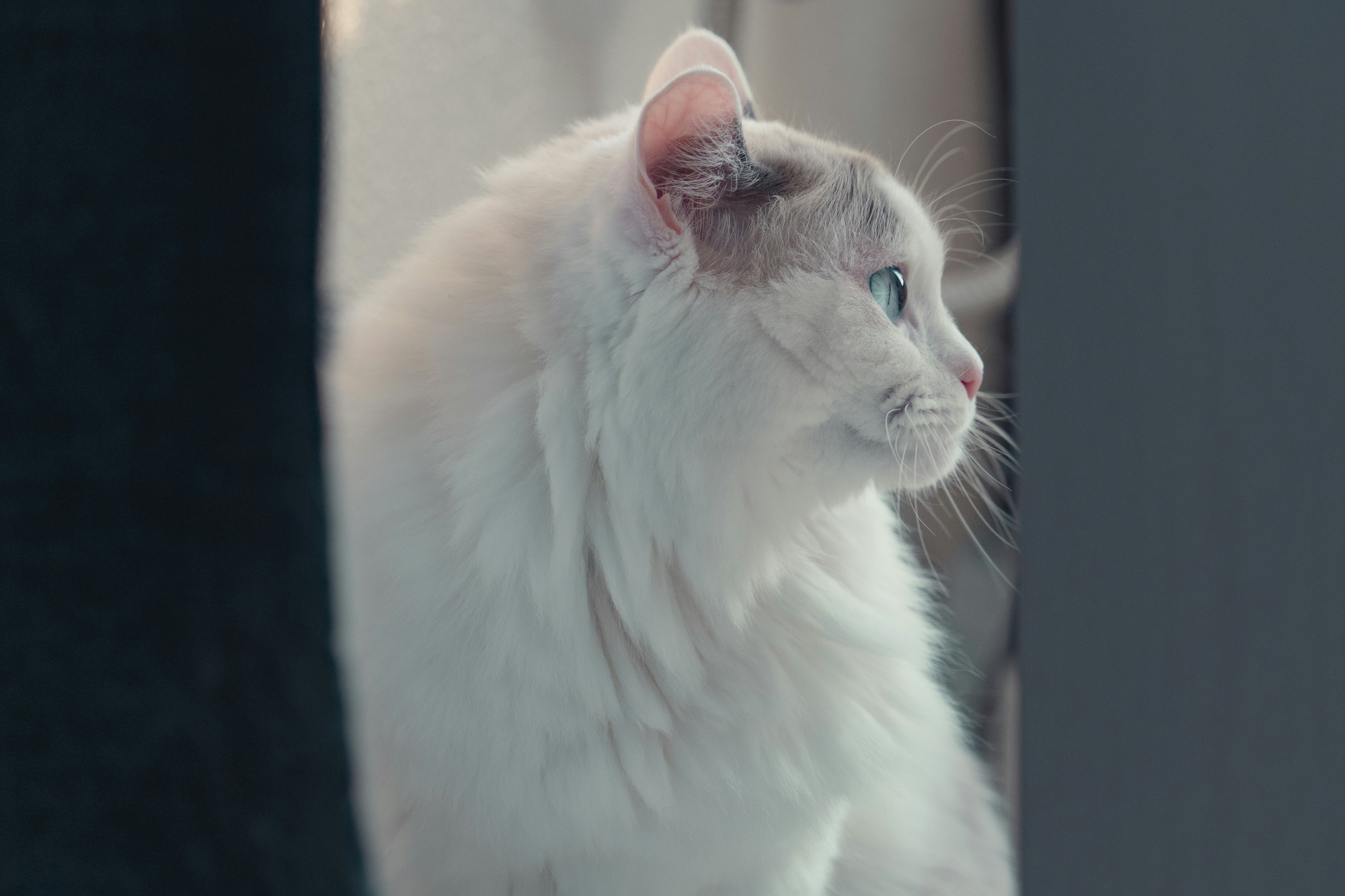 Ve al perfil de 승훈 한