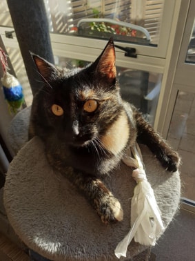 Go to Leonie Clough's profile