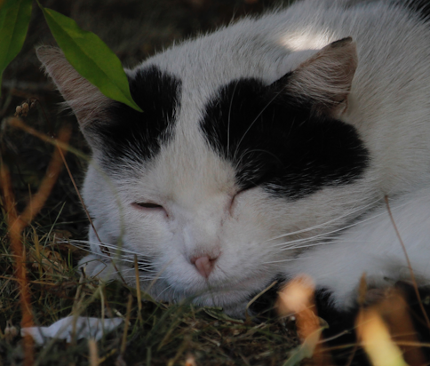 Zum Profil von Merio09