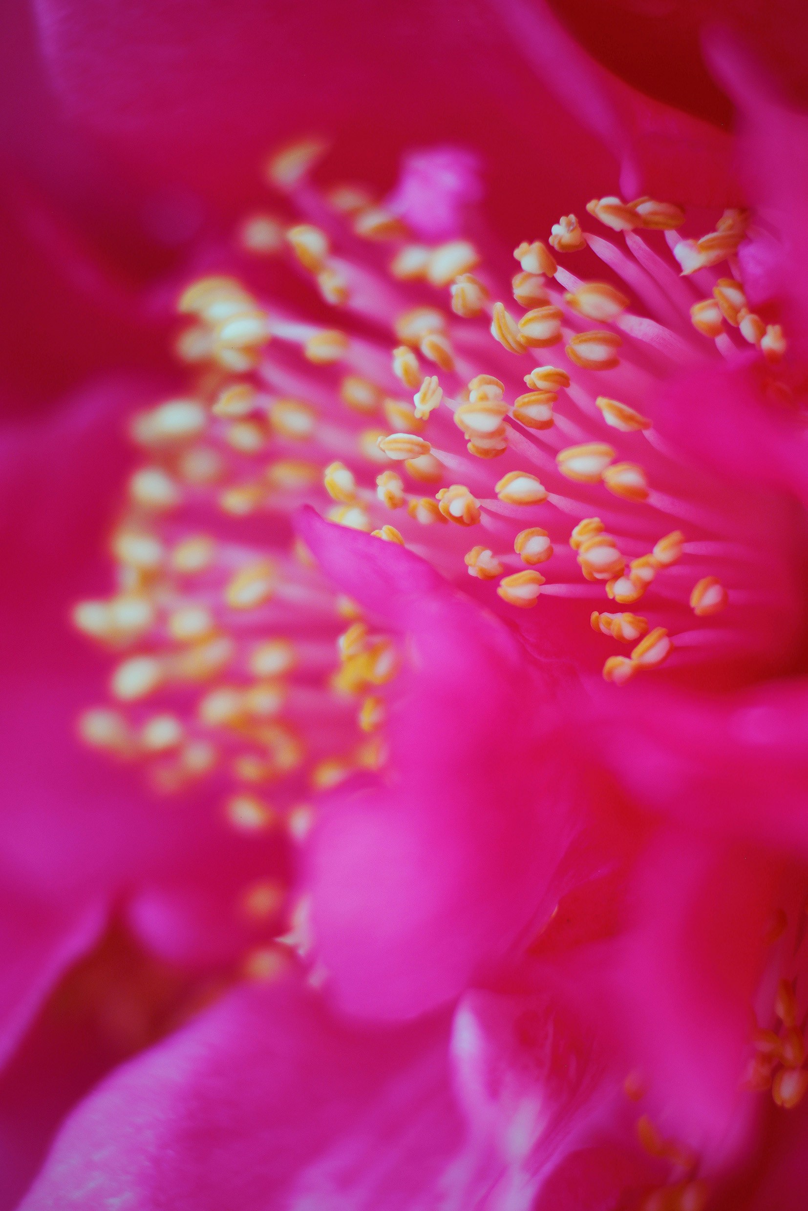 Accéder au profil de Stanley Sim