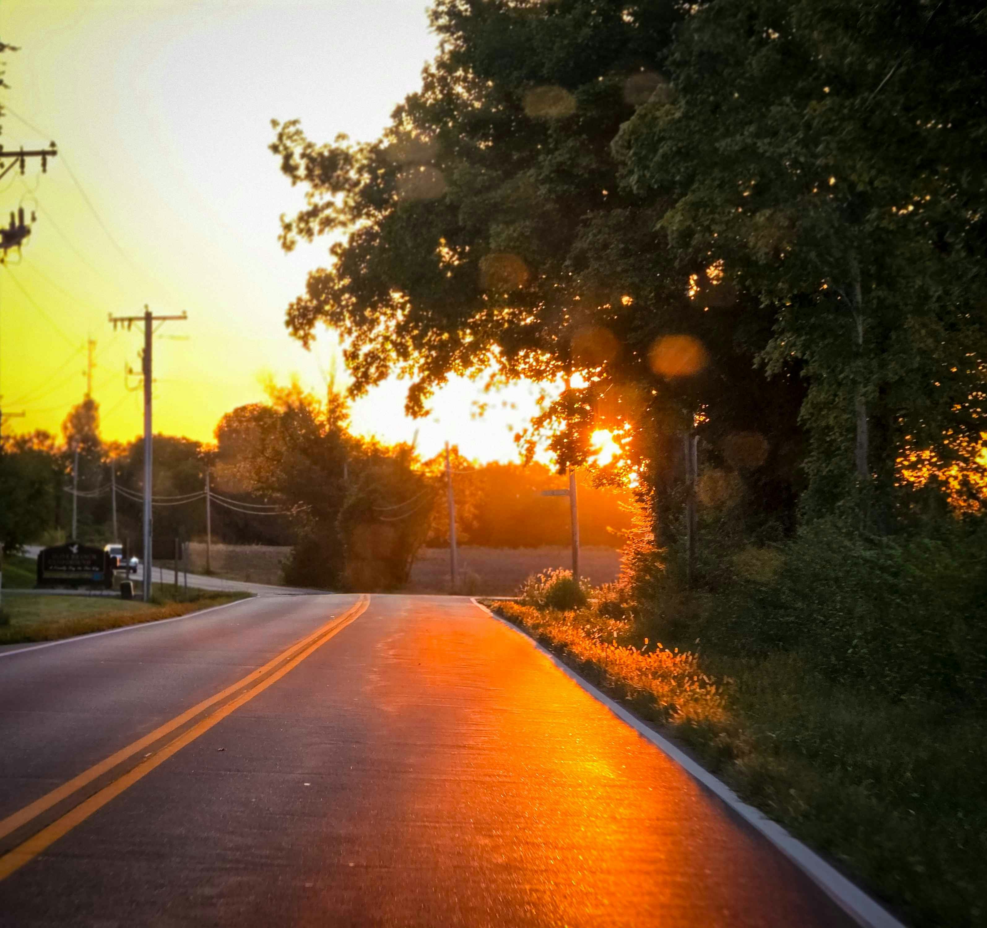 Go to Sonar Shack's profile