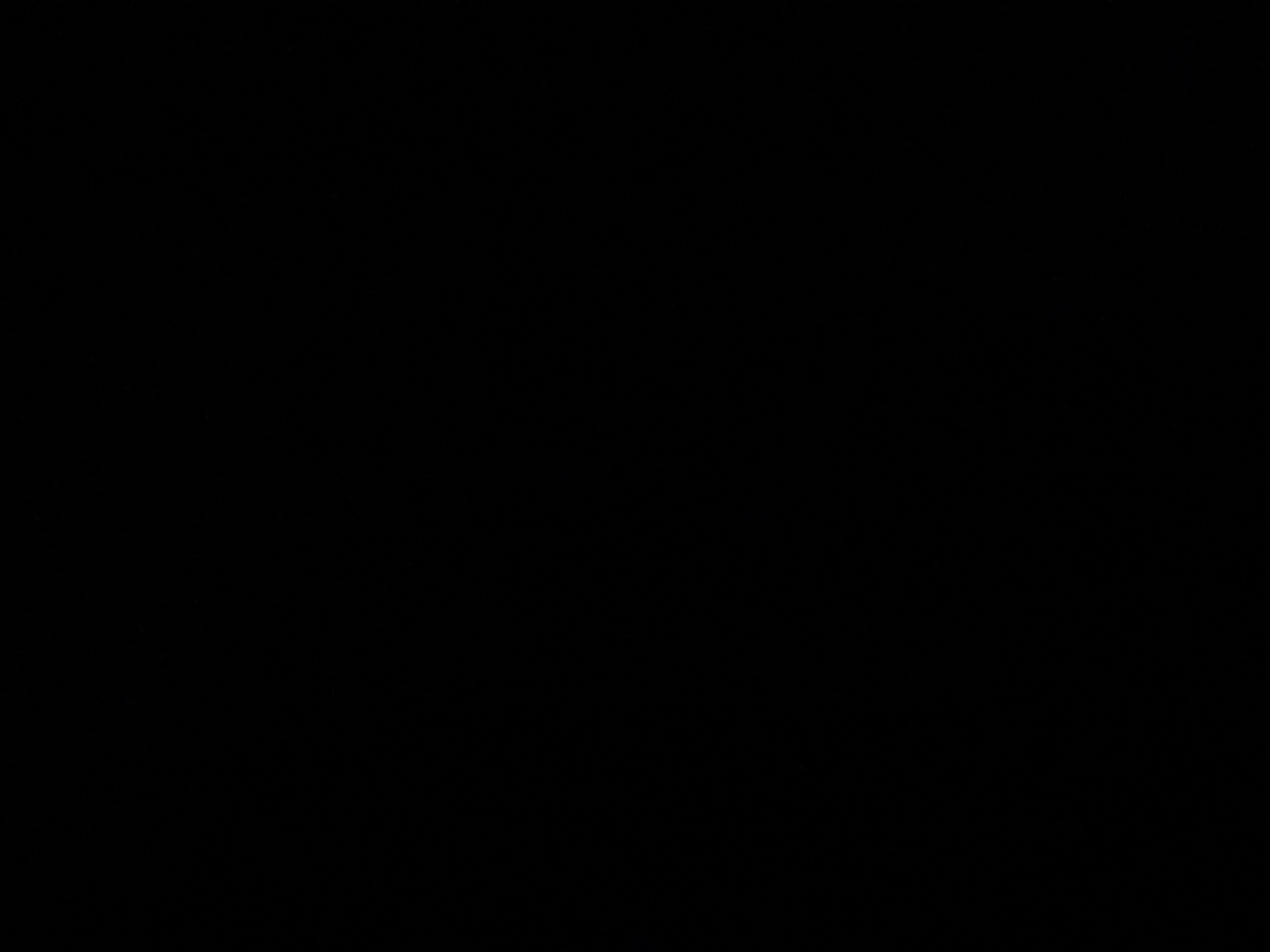 Go to roquelle's profile