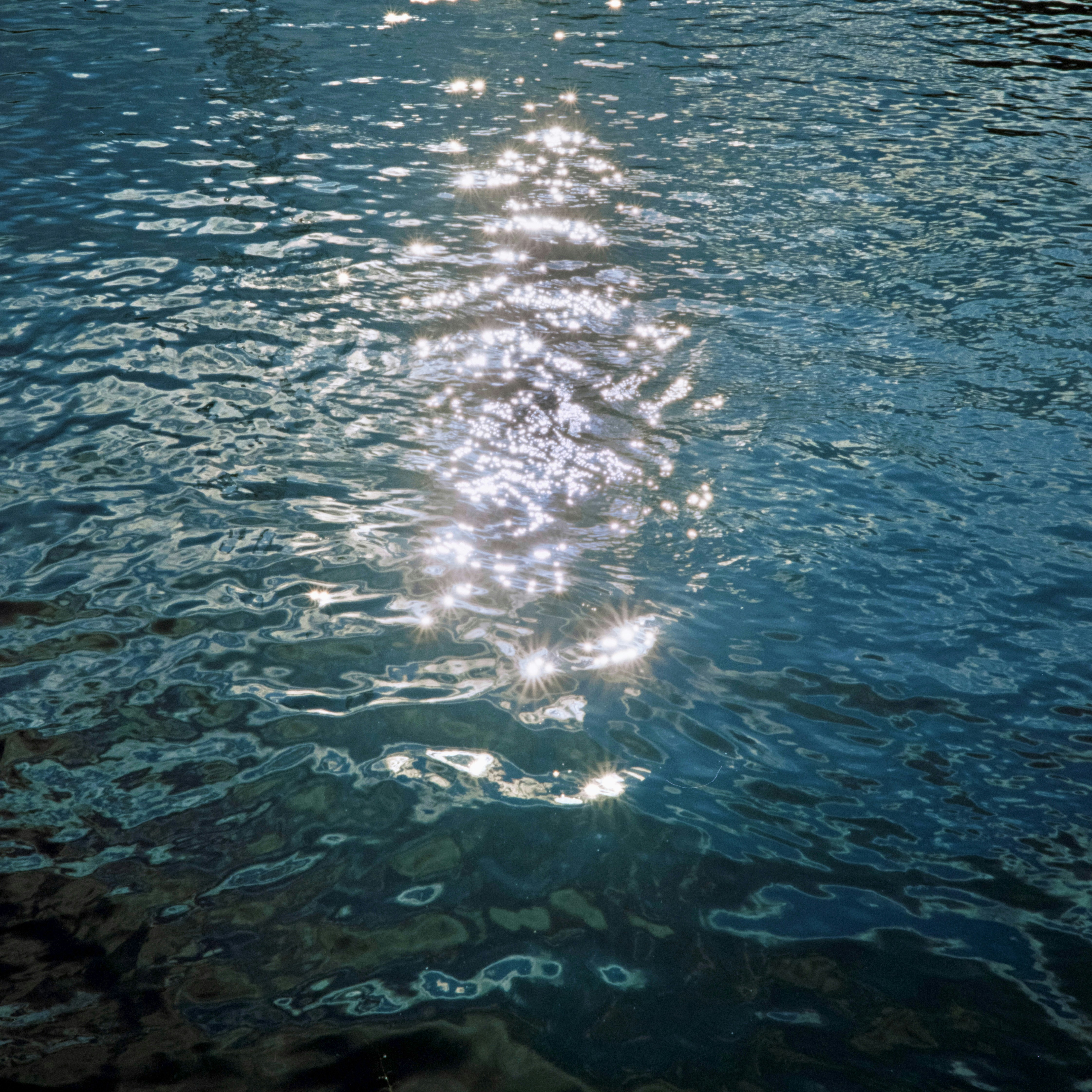 Go to Zack Yang's profile