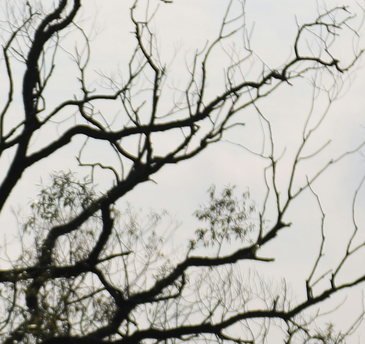 Go to Paul Fingerhut's profile