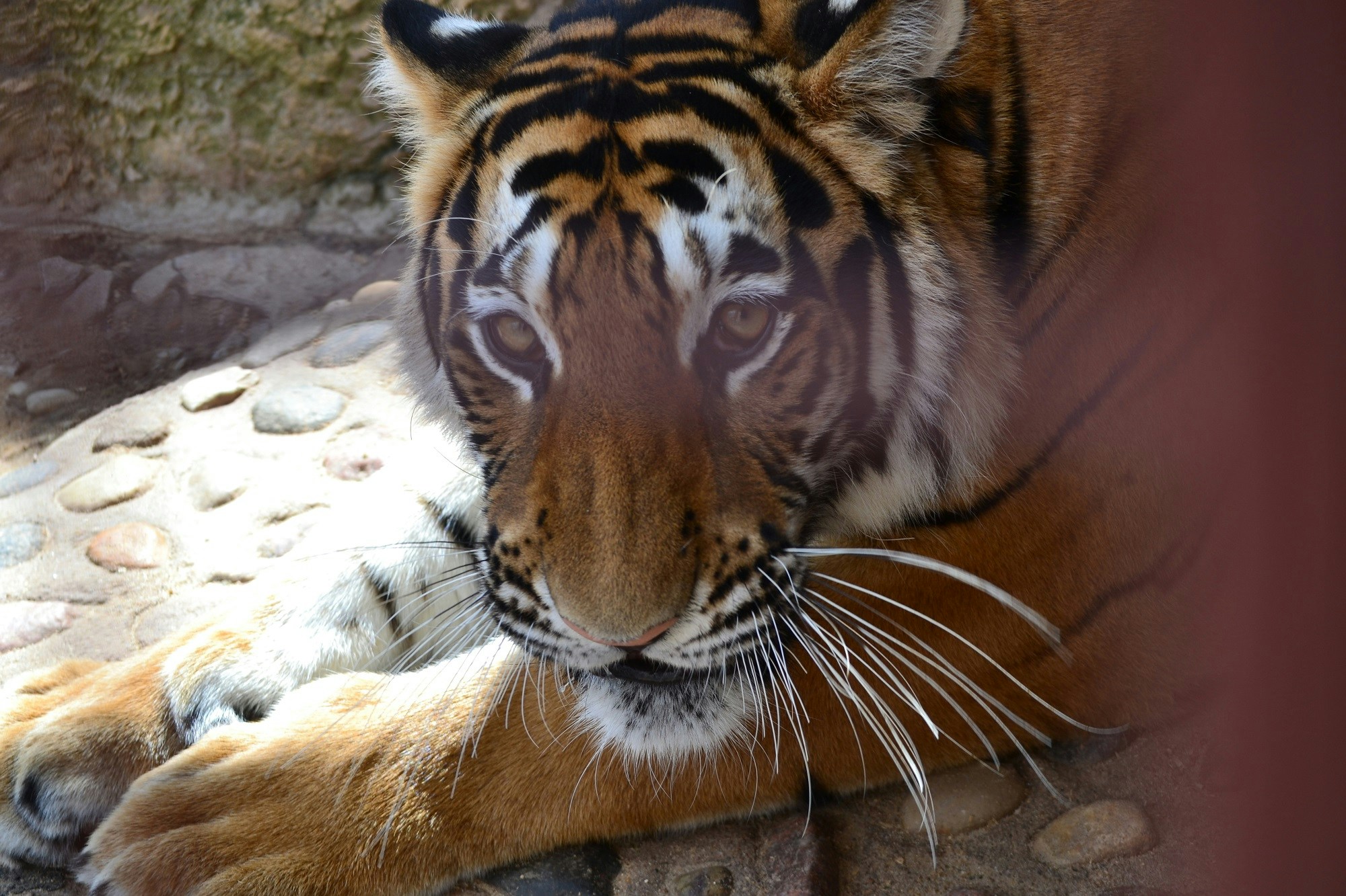 Go to Pavel Borodenkov's profile