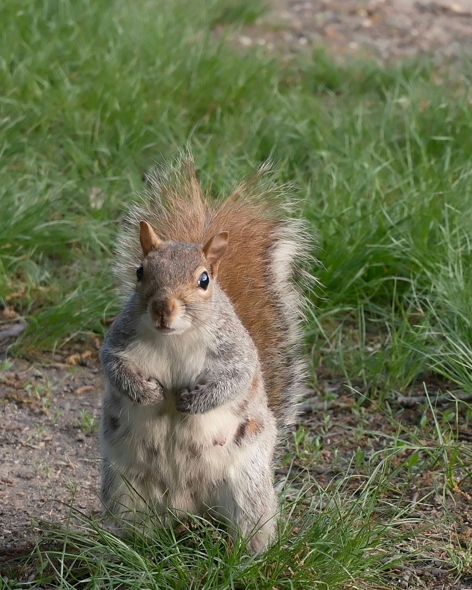 Go to Yiwen Zhao's profile