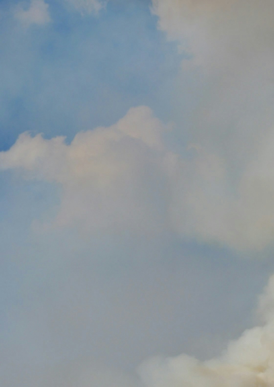 Ve al perfil de Margaret Giatras