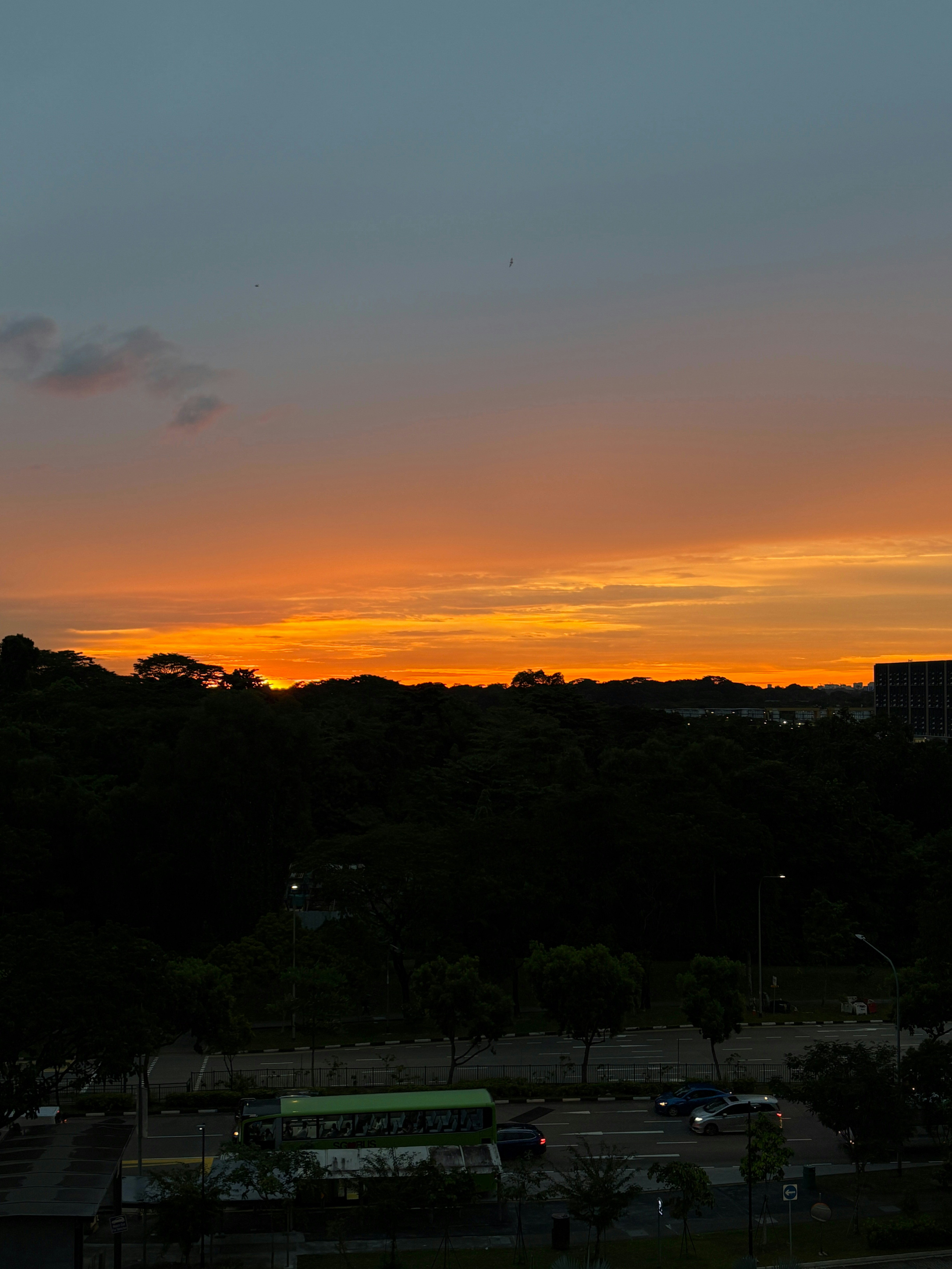 Ir para o perfil de Nicole Shin