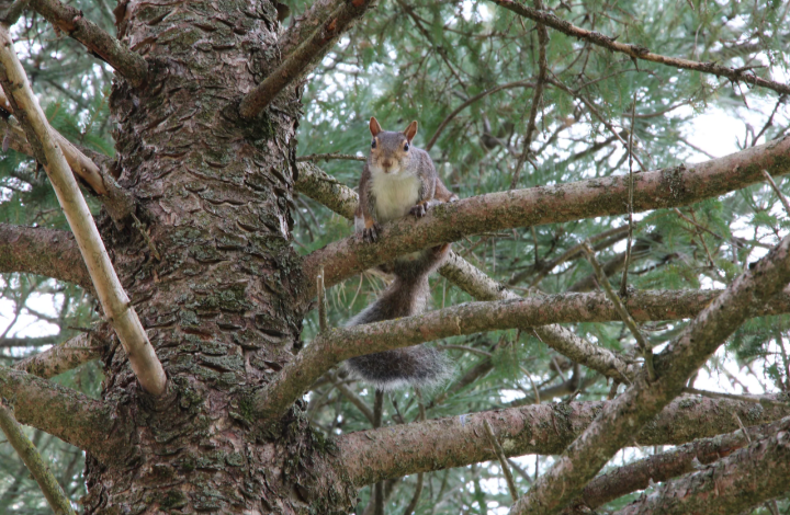 Go to Damian Kim's profile