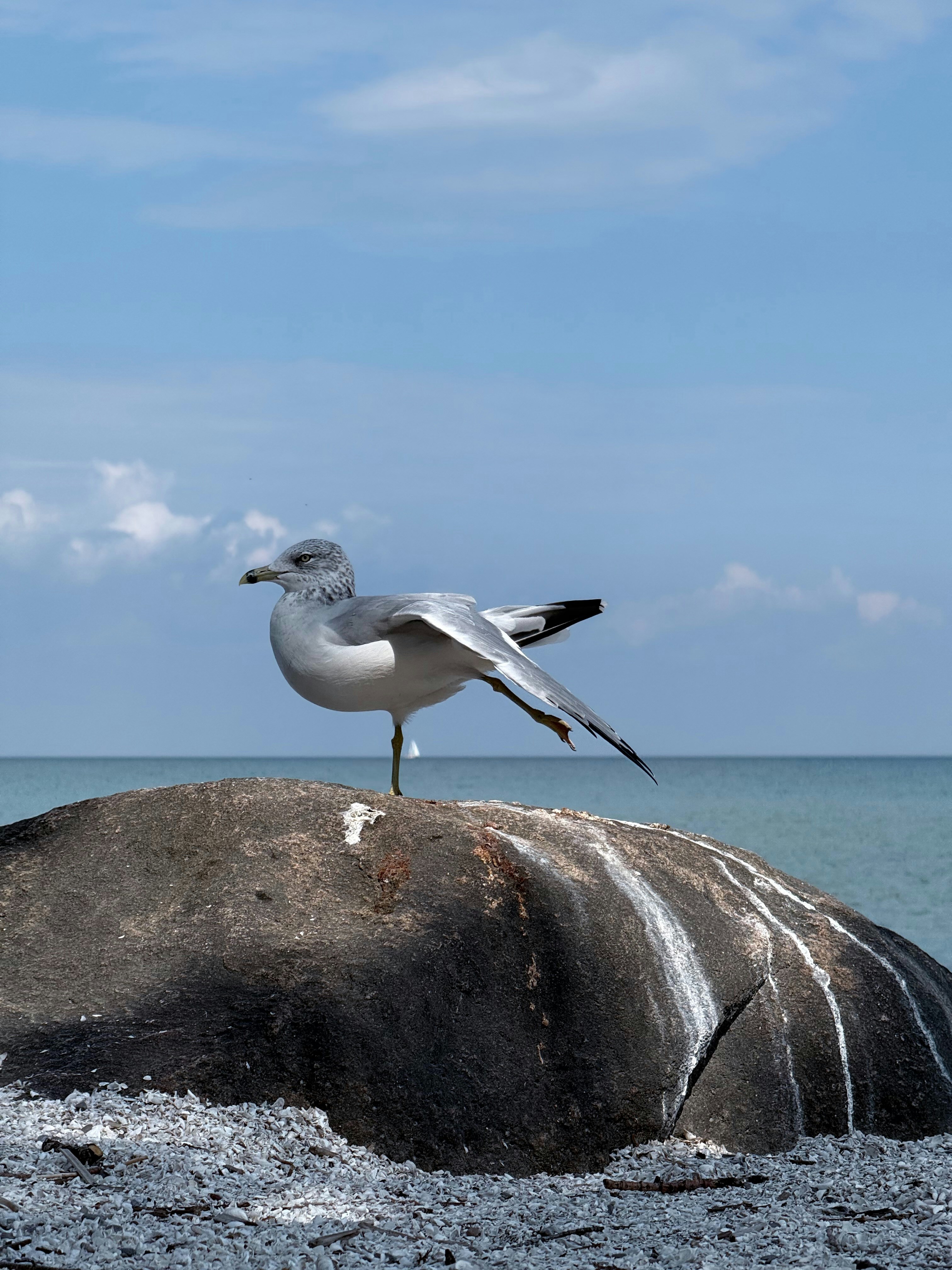 Go to Gary Chen's profile