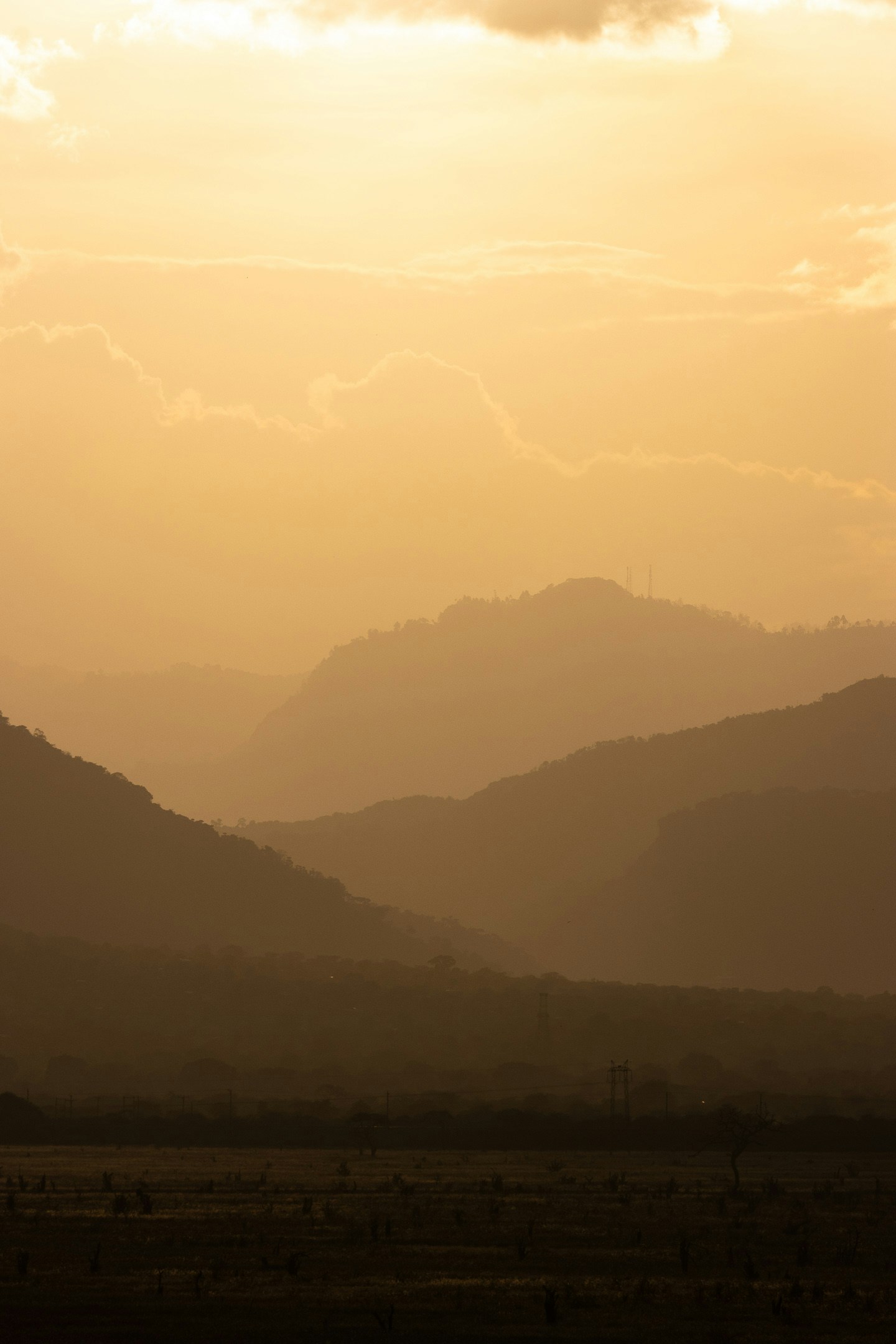 Go to Vishva Patel's profile