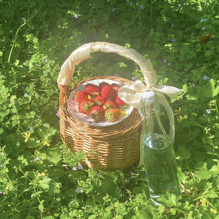 Go to Bianca Pitoy's profile