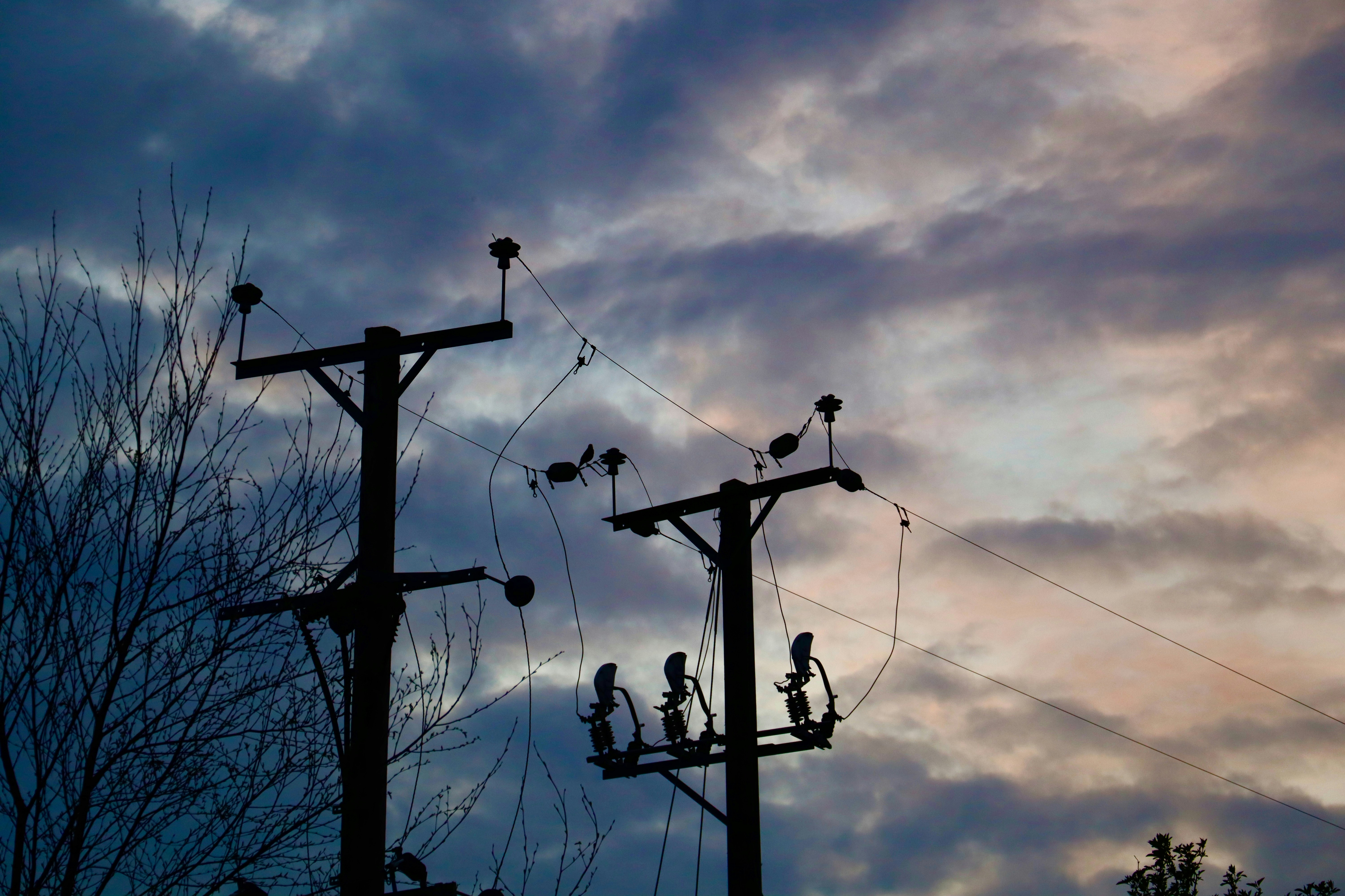 Go to Kate Lanigan's profile