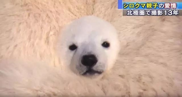 Go to Yao Colin's profile