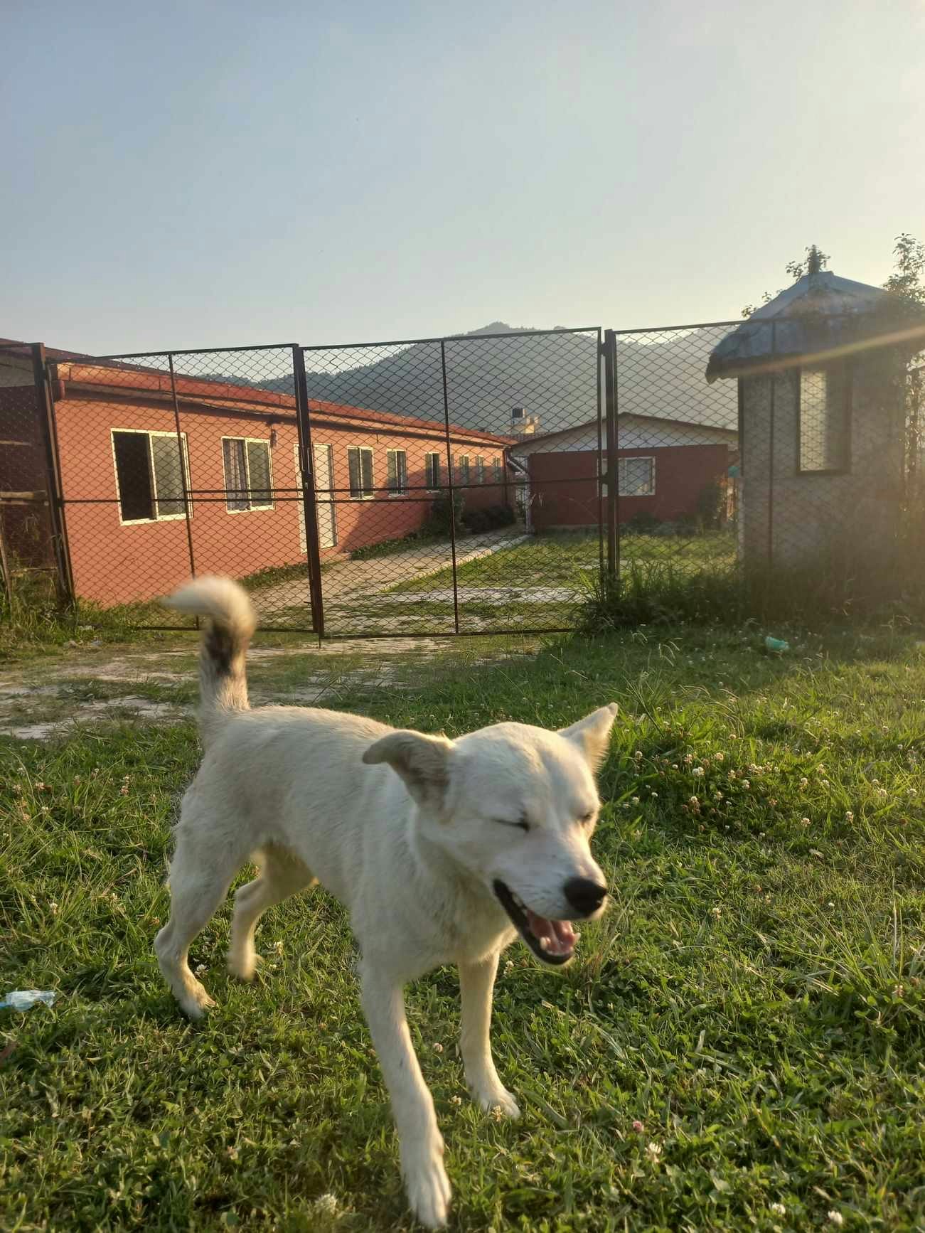 Go to Jeevan Katel's profile