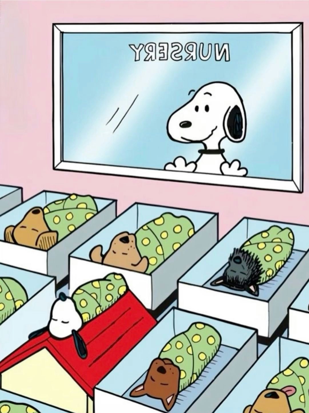 Go to Lima Peru's profile