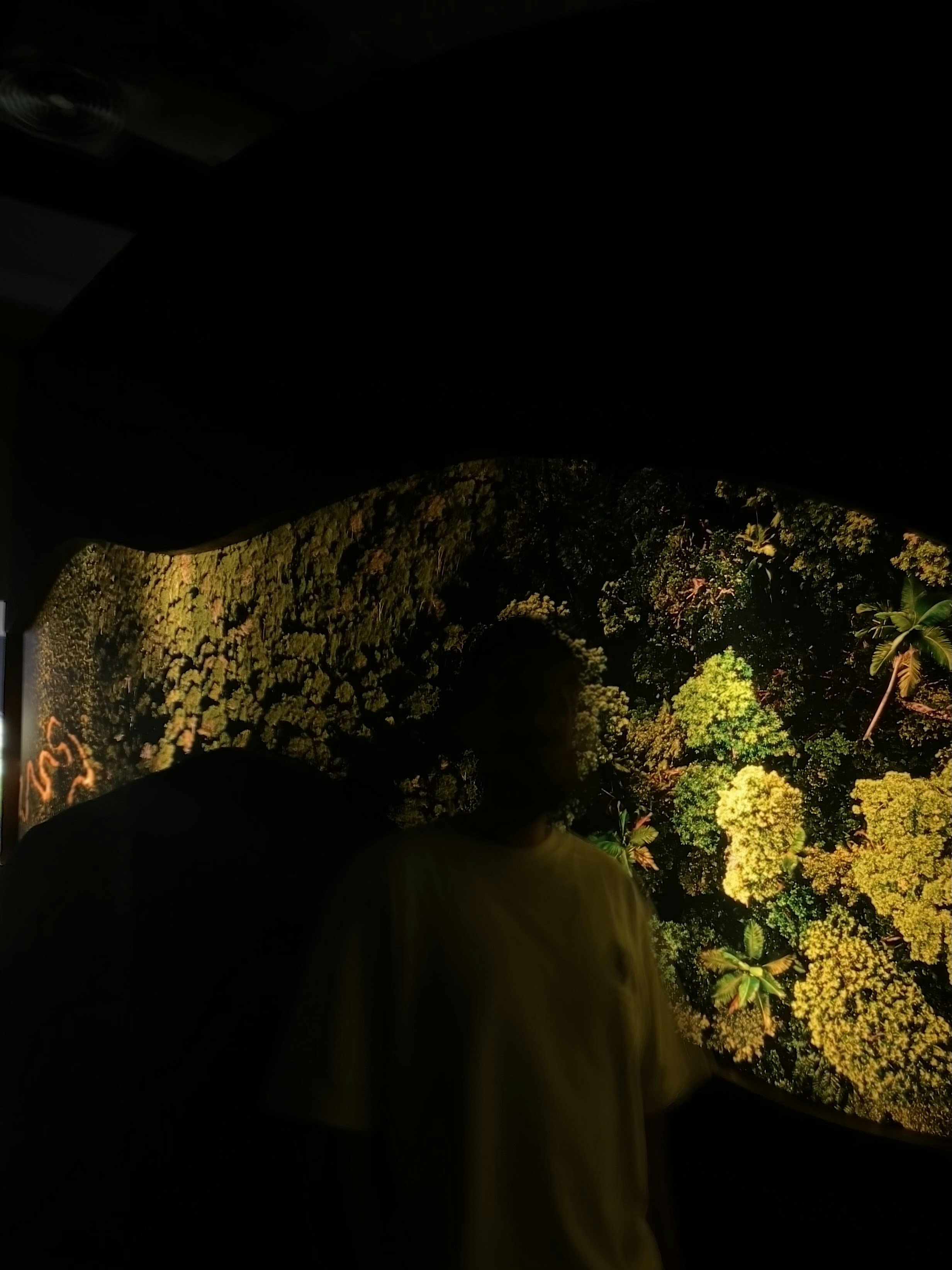 Go to Ayan Mamun's profile