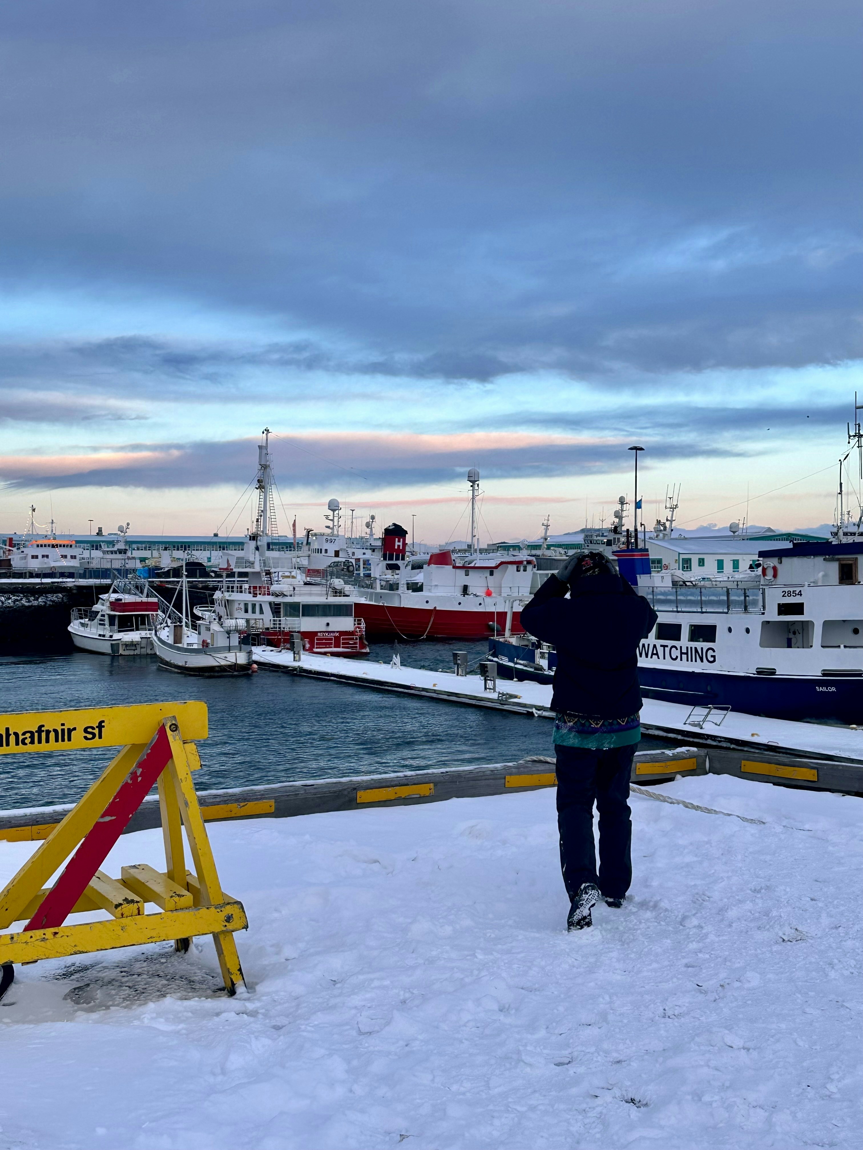 Zum Profil von Yina Li