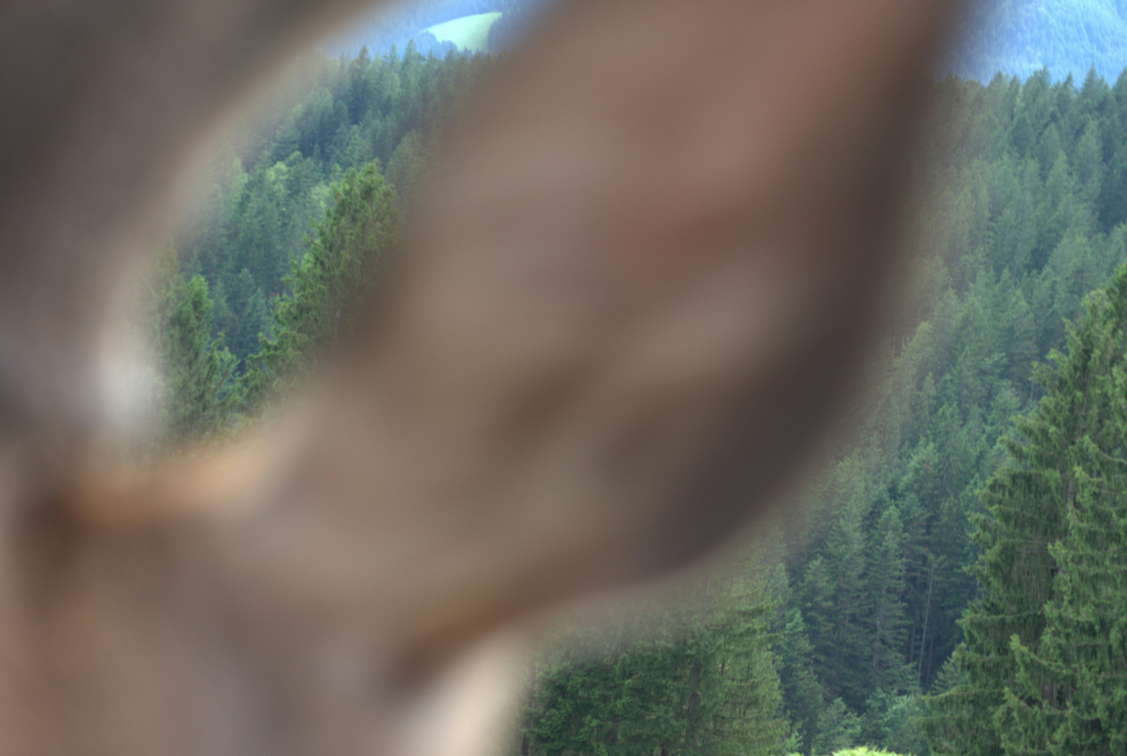 Ir para o perfil de Fionn Elias Urban