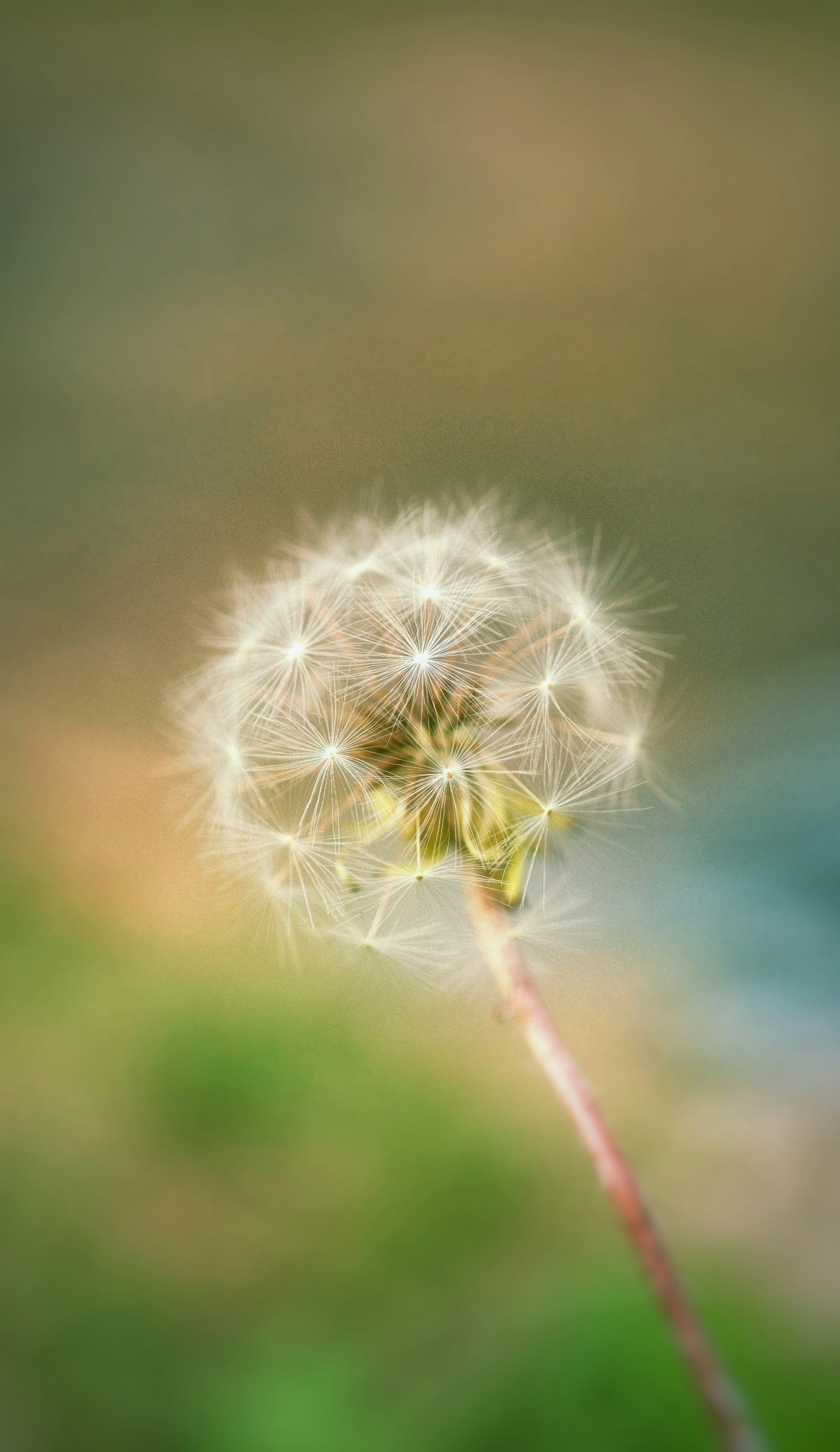 Go to Life Time Values's profile