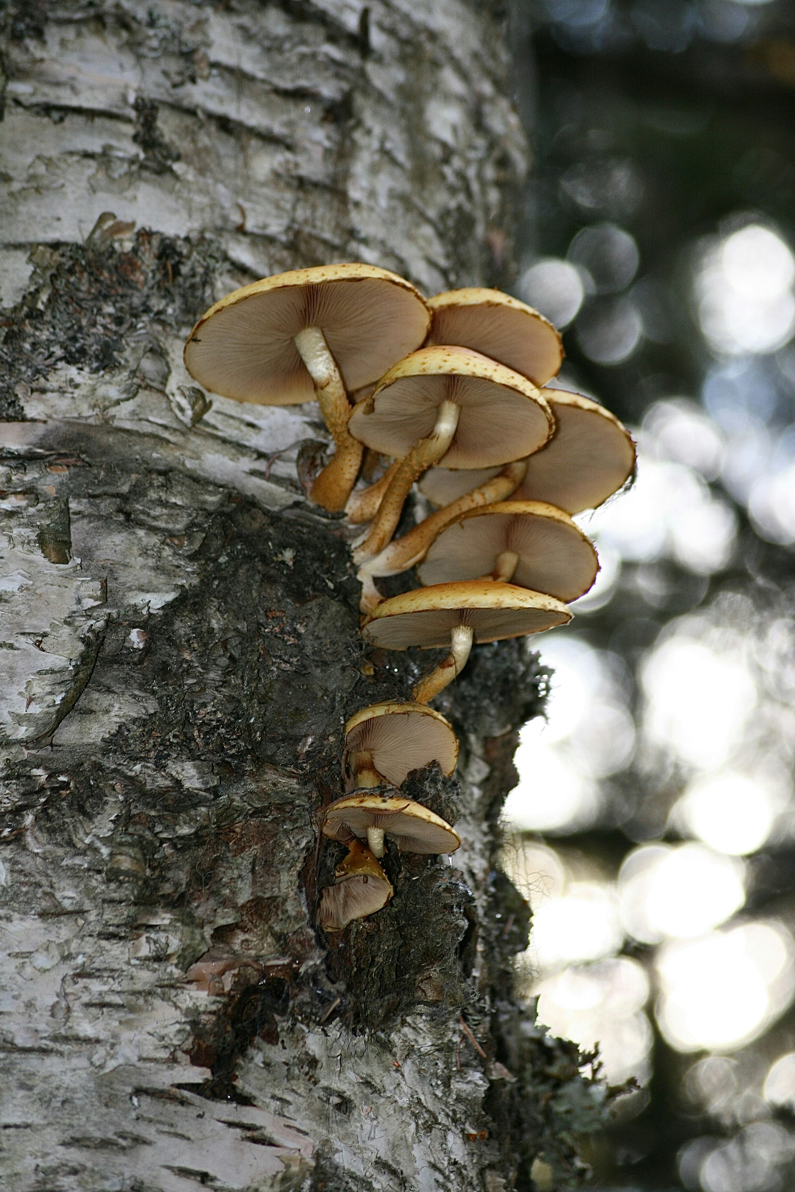 Go to Max Man's profile