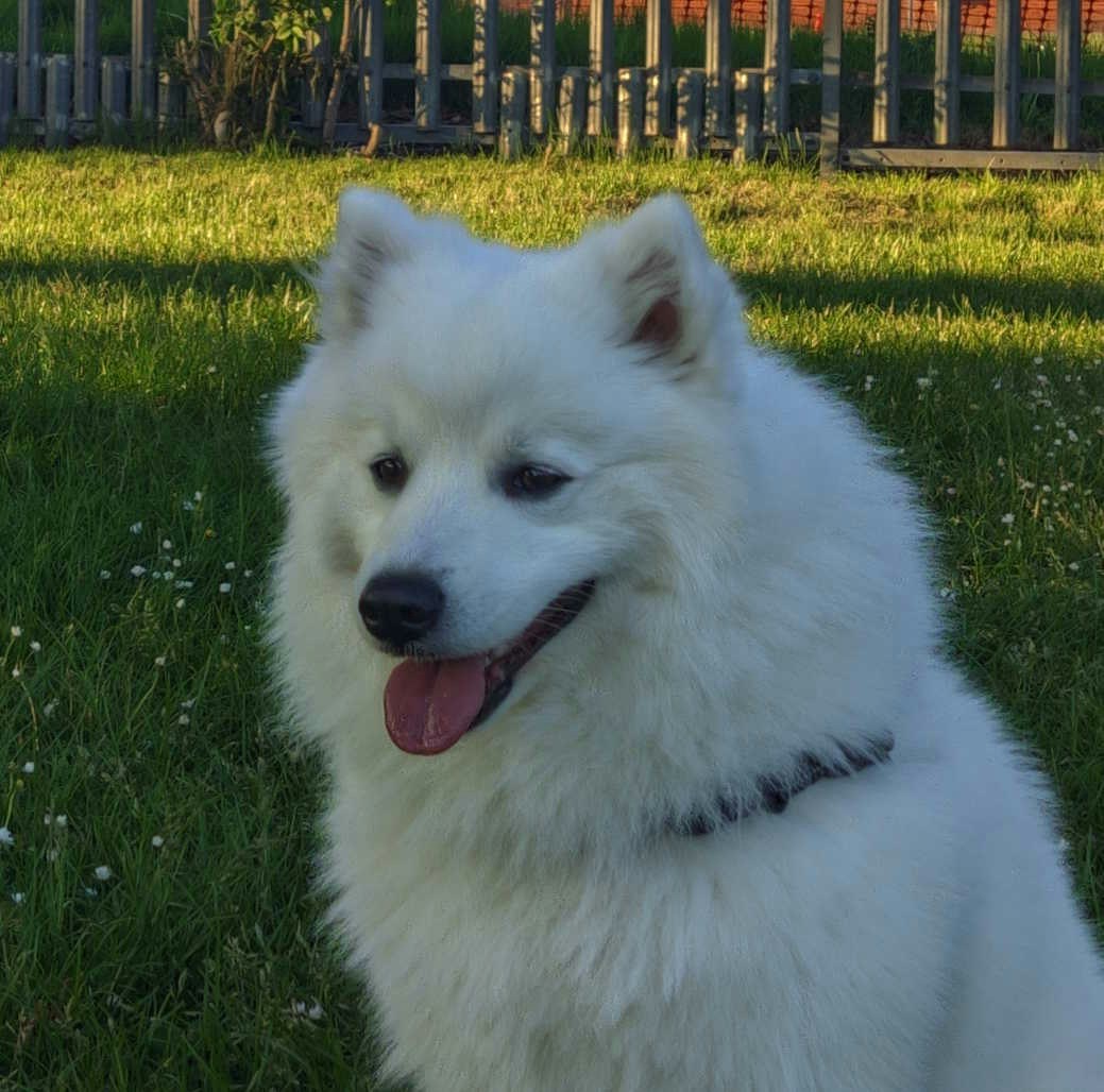 Accéder au profil de Jeffrey Daniel