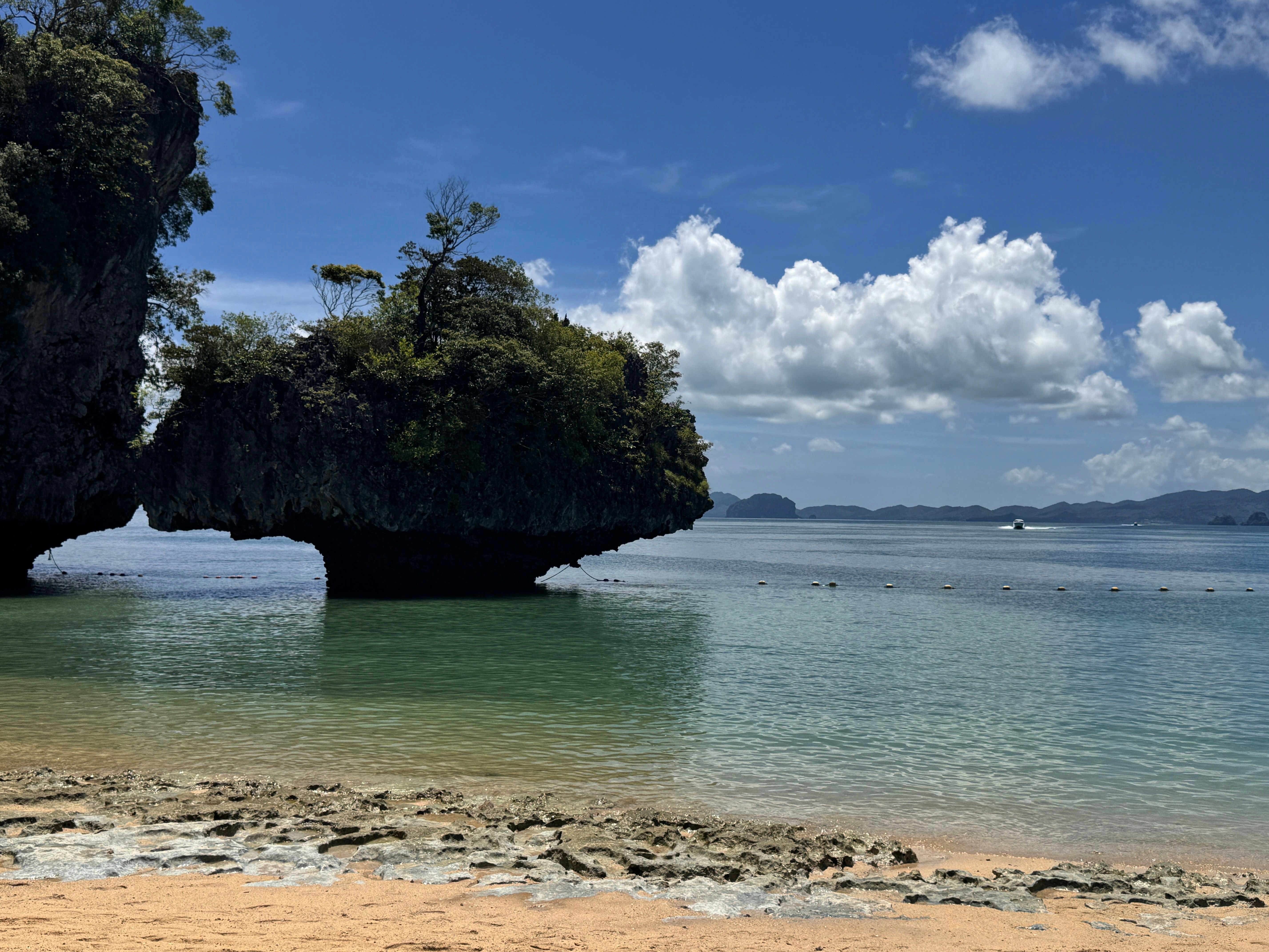 Avatar del usuario jack Wong