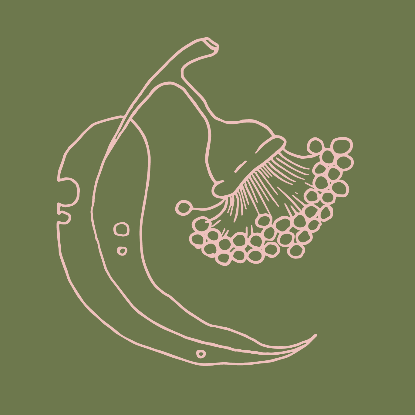 Go to Rachel Darling's profile