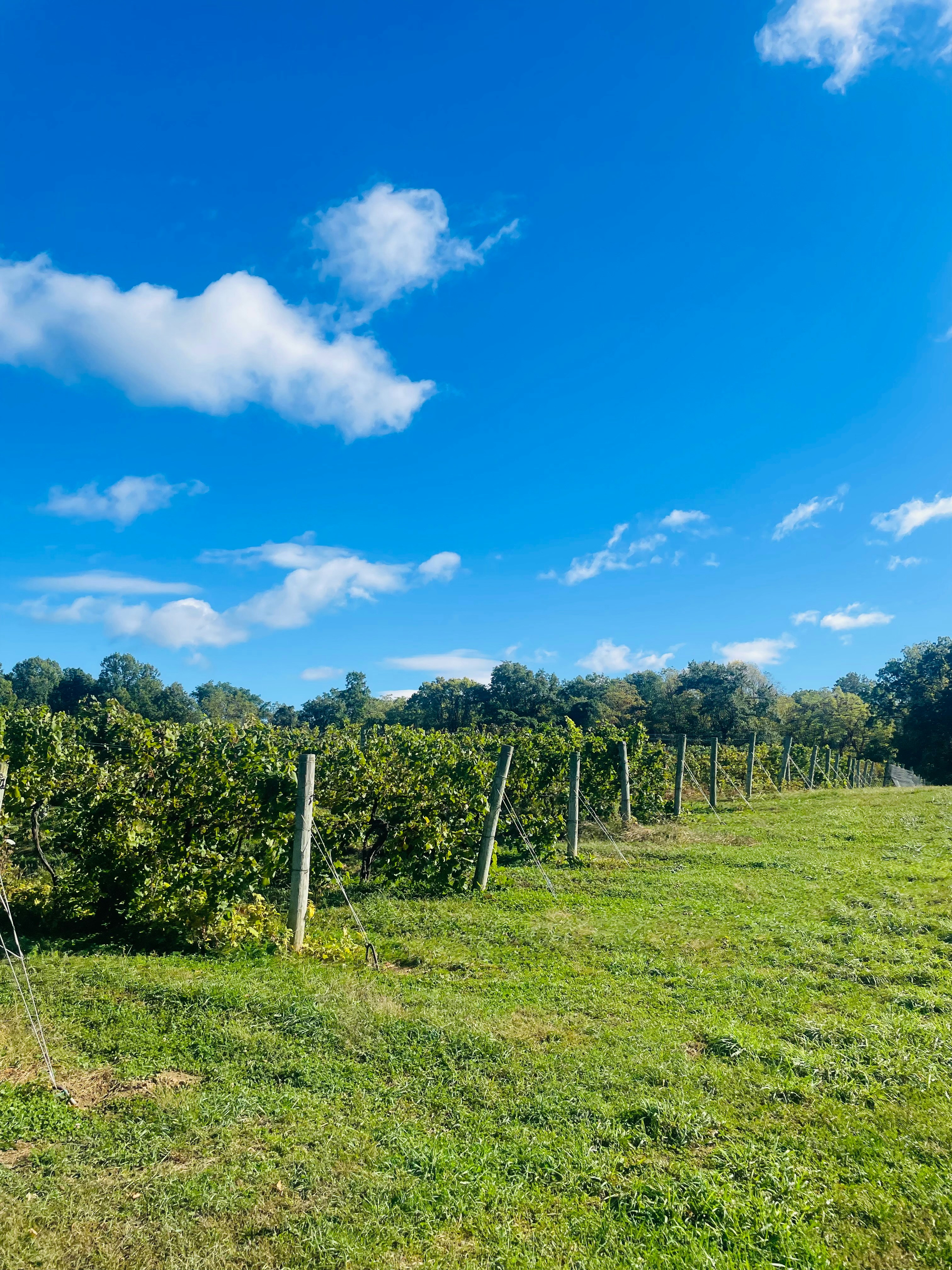 Go to Tayten Taulbee's profile