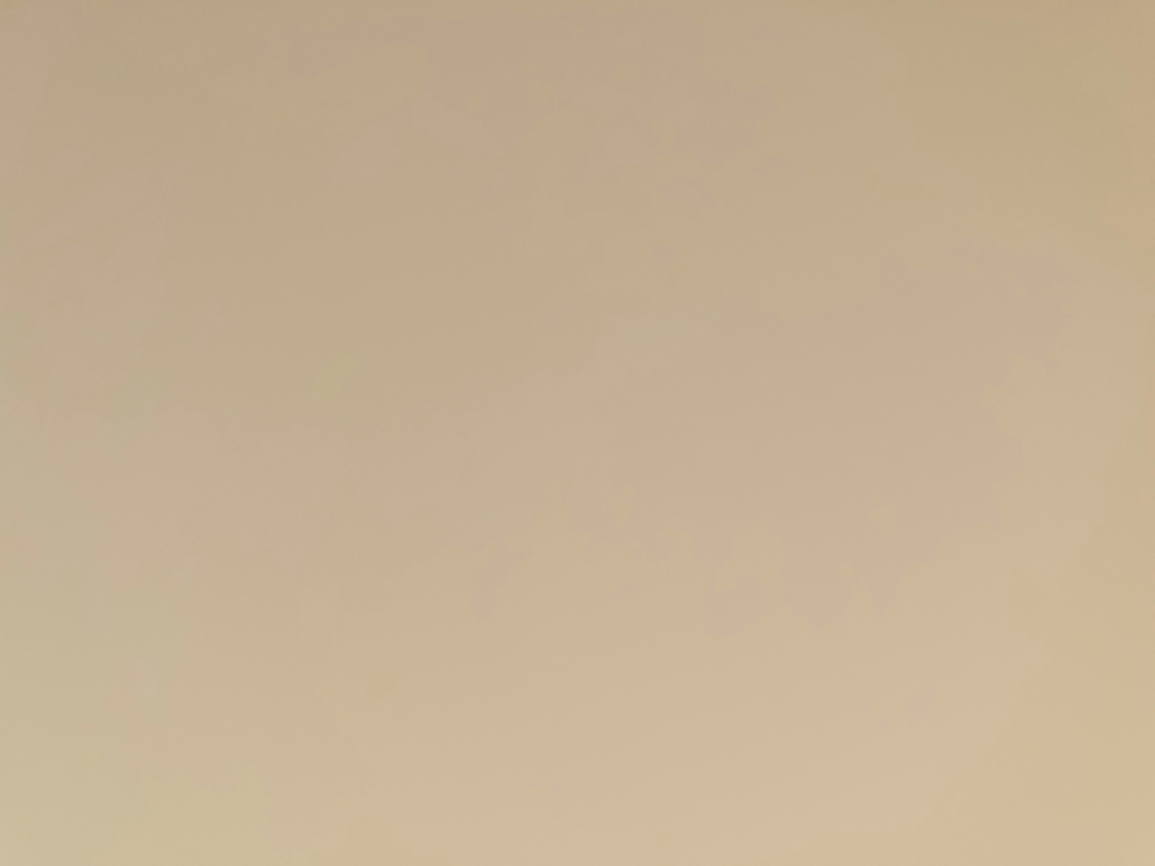 Go to MIGUEL BAIXAULI's profile