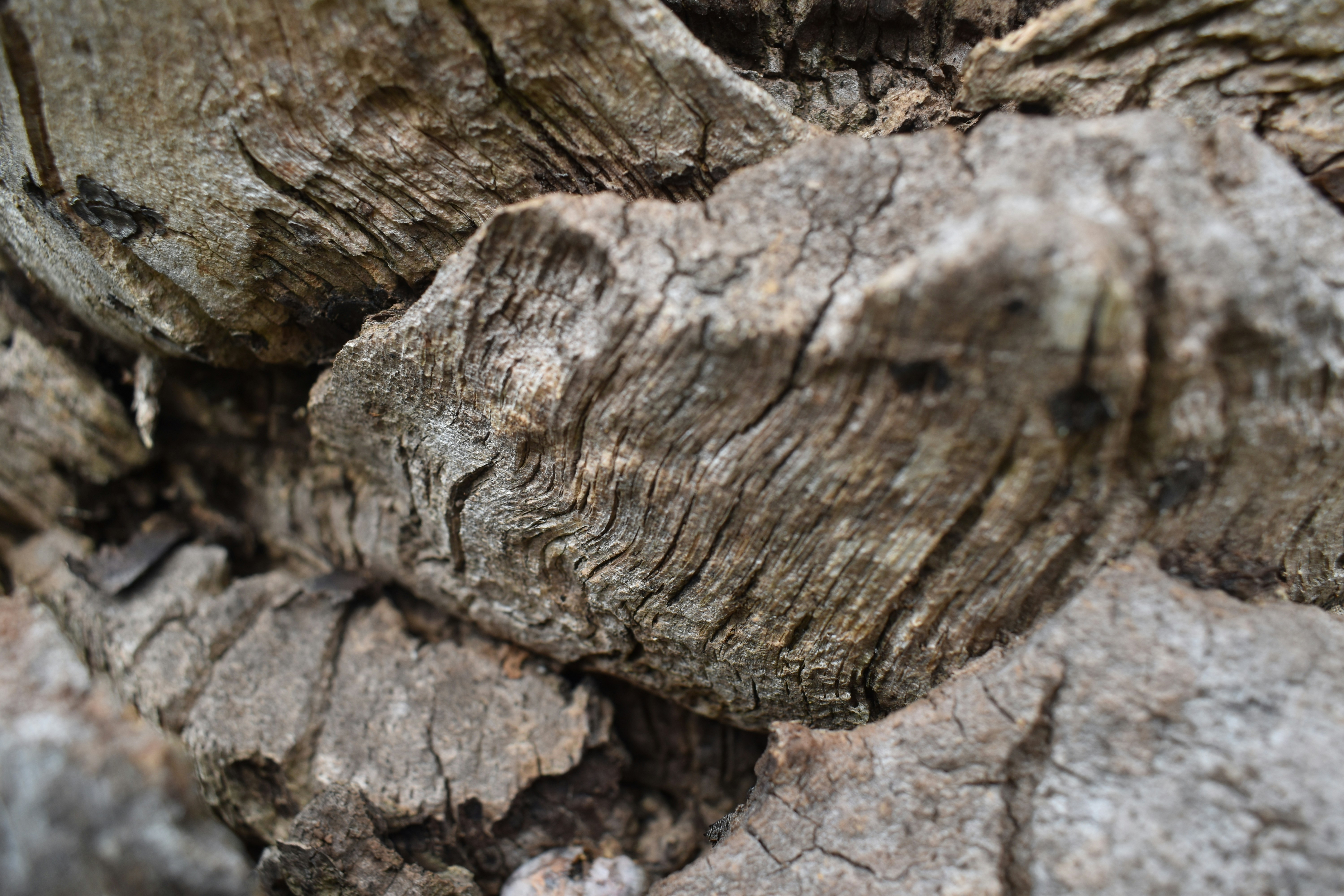 Go to Aarón Ruiz's profile