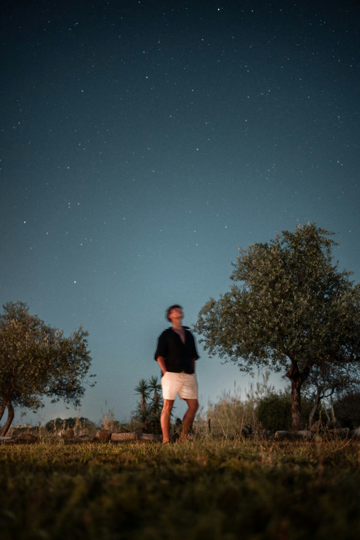 Ve al perfil de Mateusz Kamieniarz