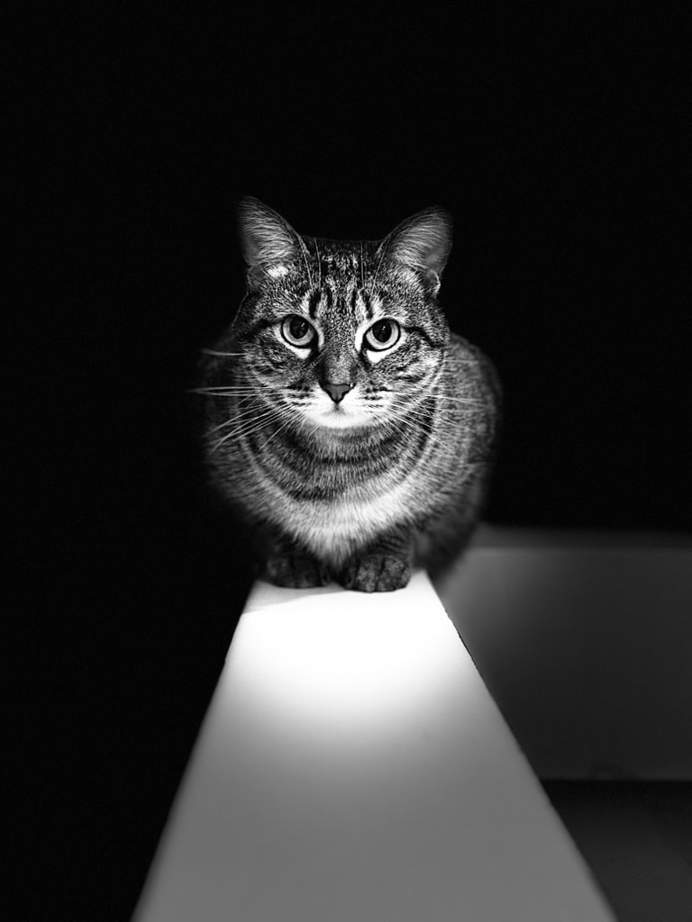 Vai al profilo di Antonella Favaretto