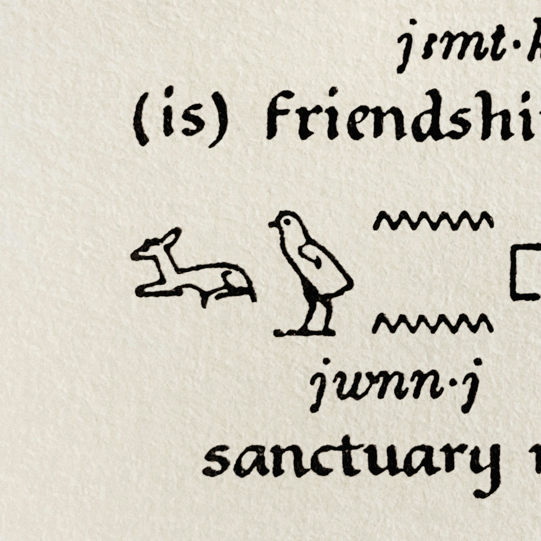 Go to Elsa Tonkinwise's profile