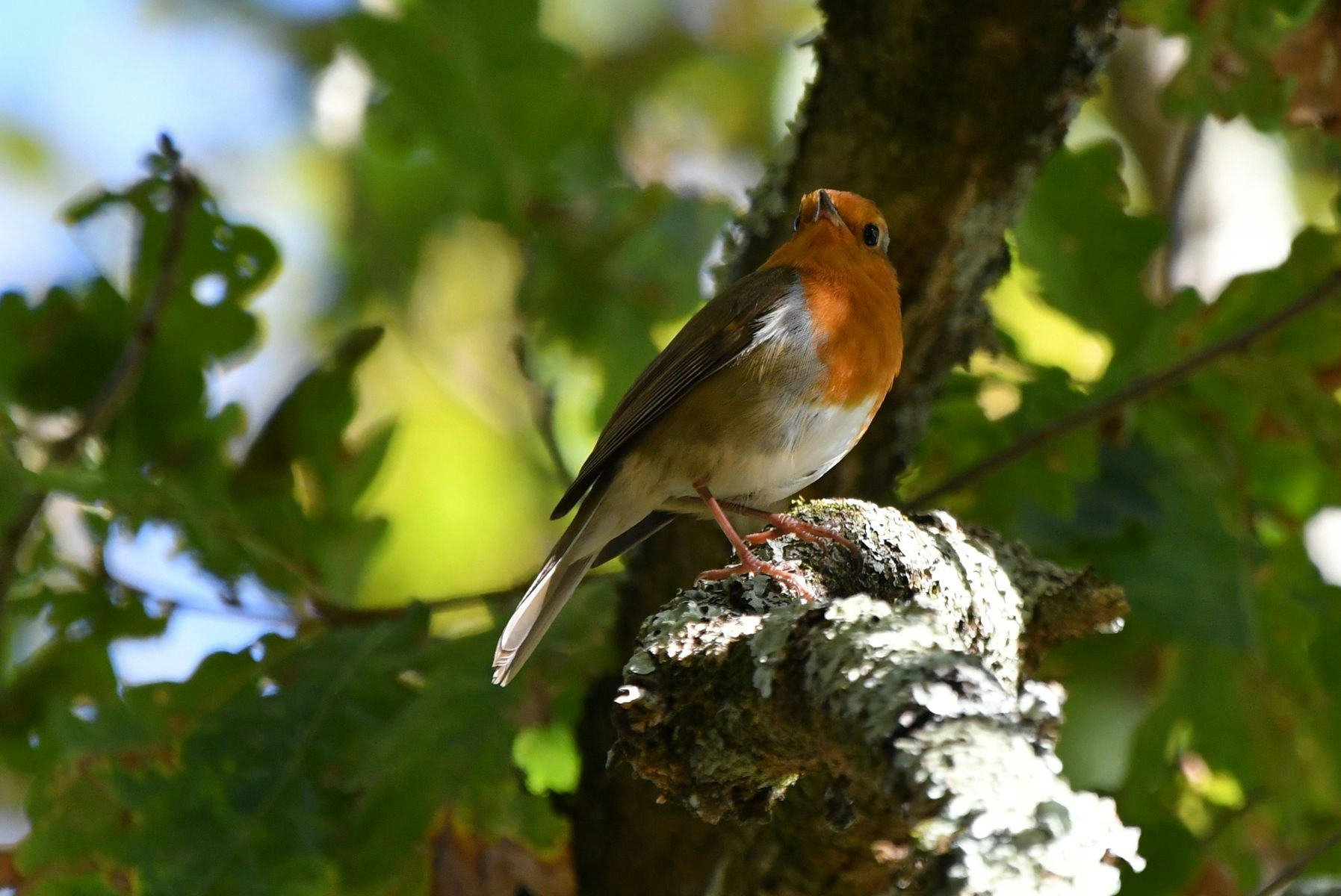 Go to GERALDINE G.'s profile