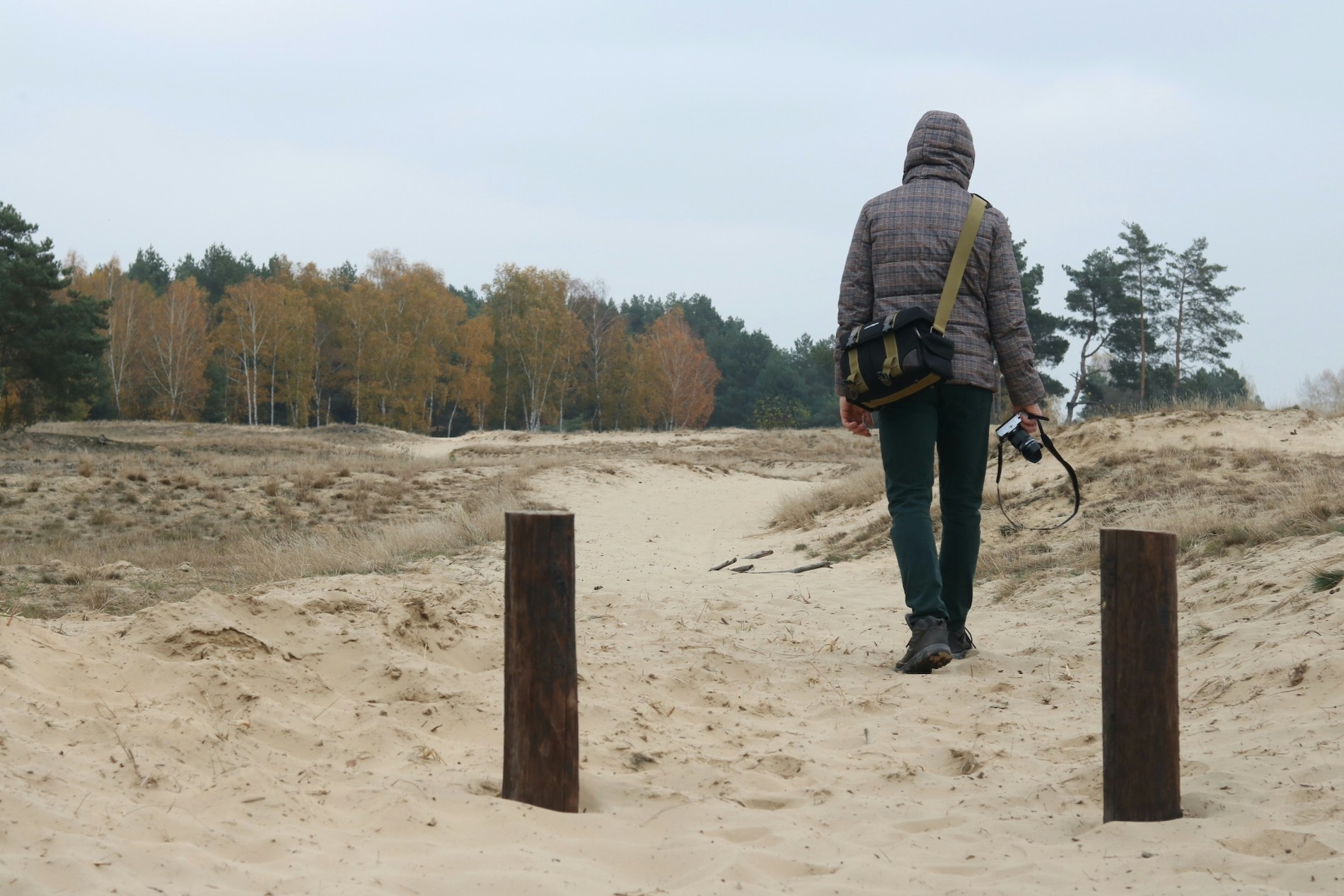 Go to Jacek Stróżewski's profile