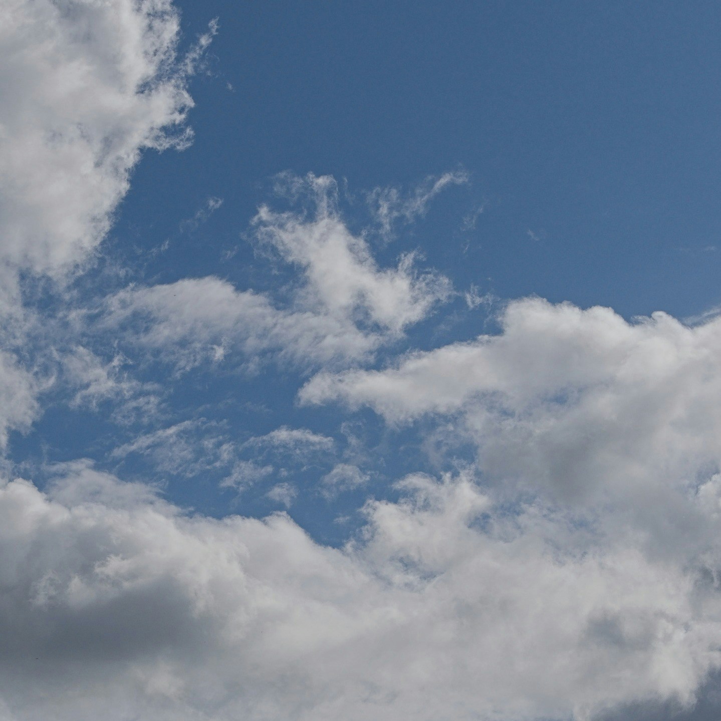 Go to Alexey's profile