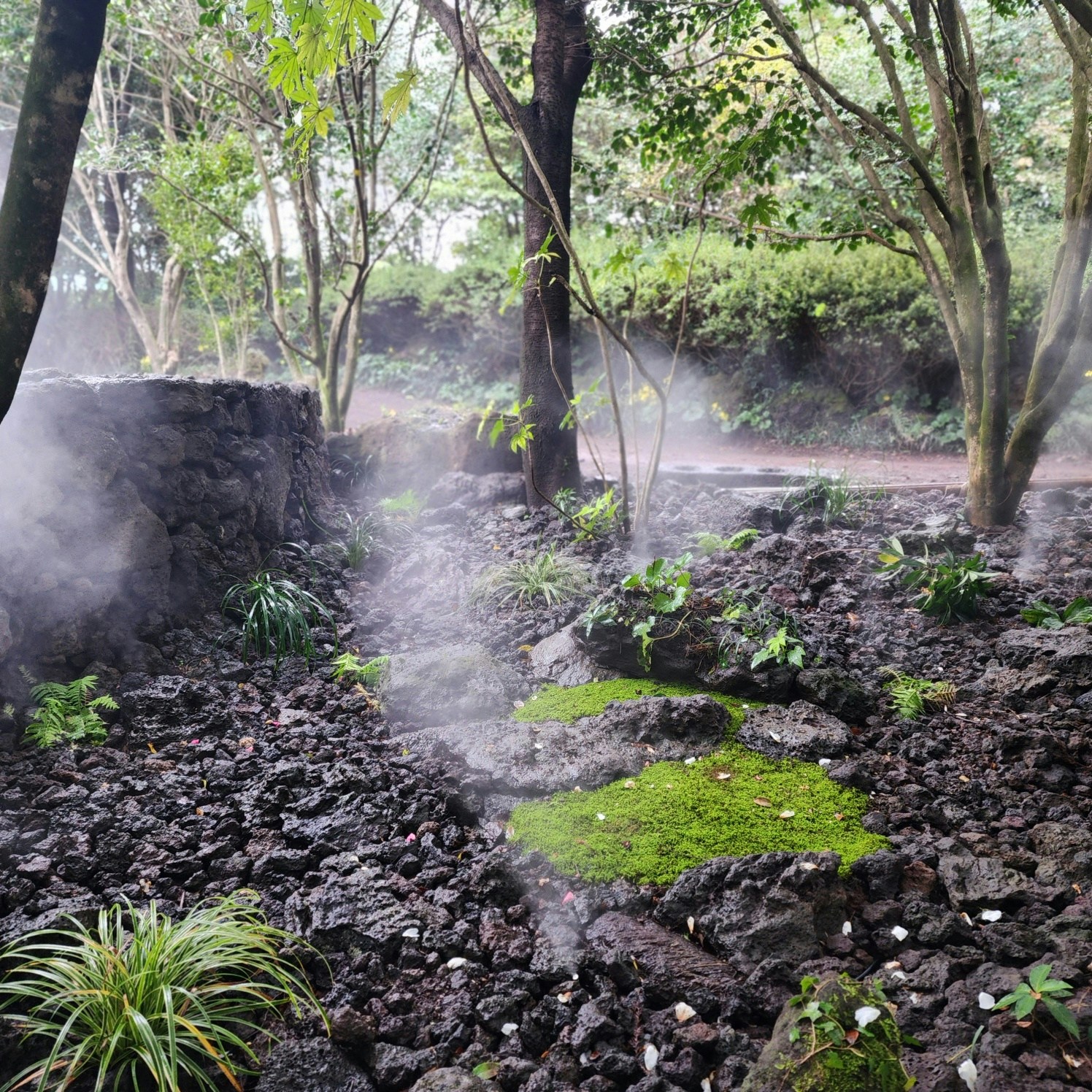 Go to haeyoon kim's profile