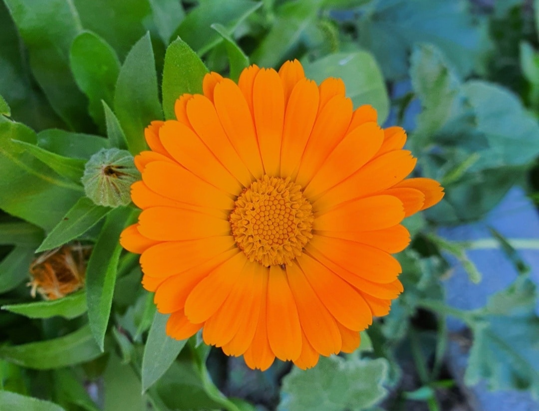 Go to Cht Gsml's profile