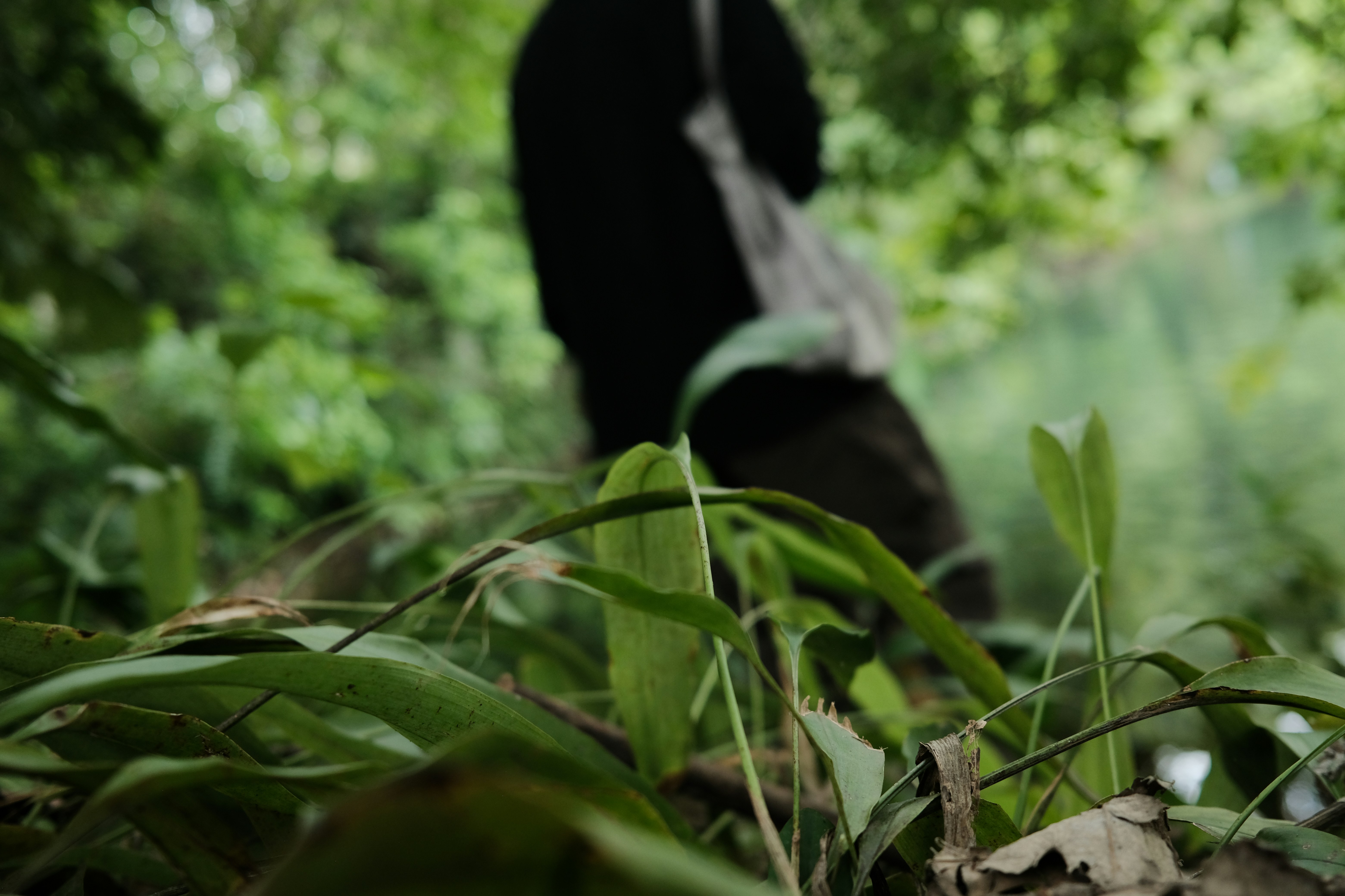 Go to CHARLIE's profile