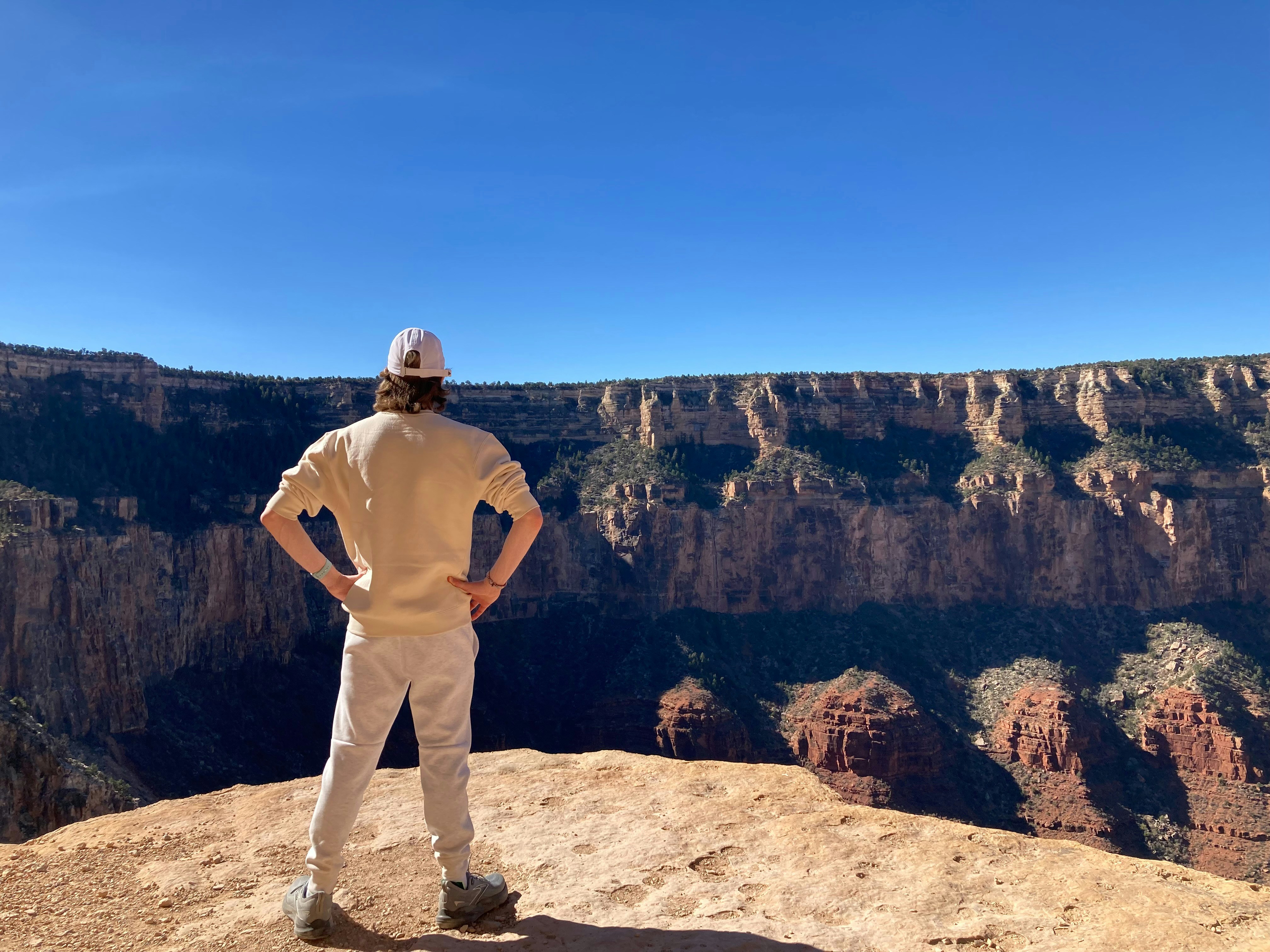 Zum Profil von Noah Levy