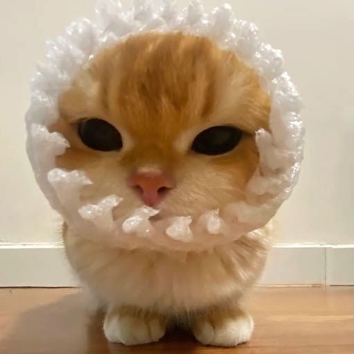 Go to Guo Zilong's profile