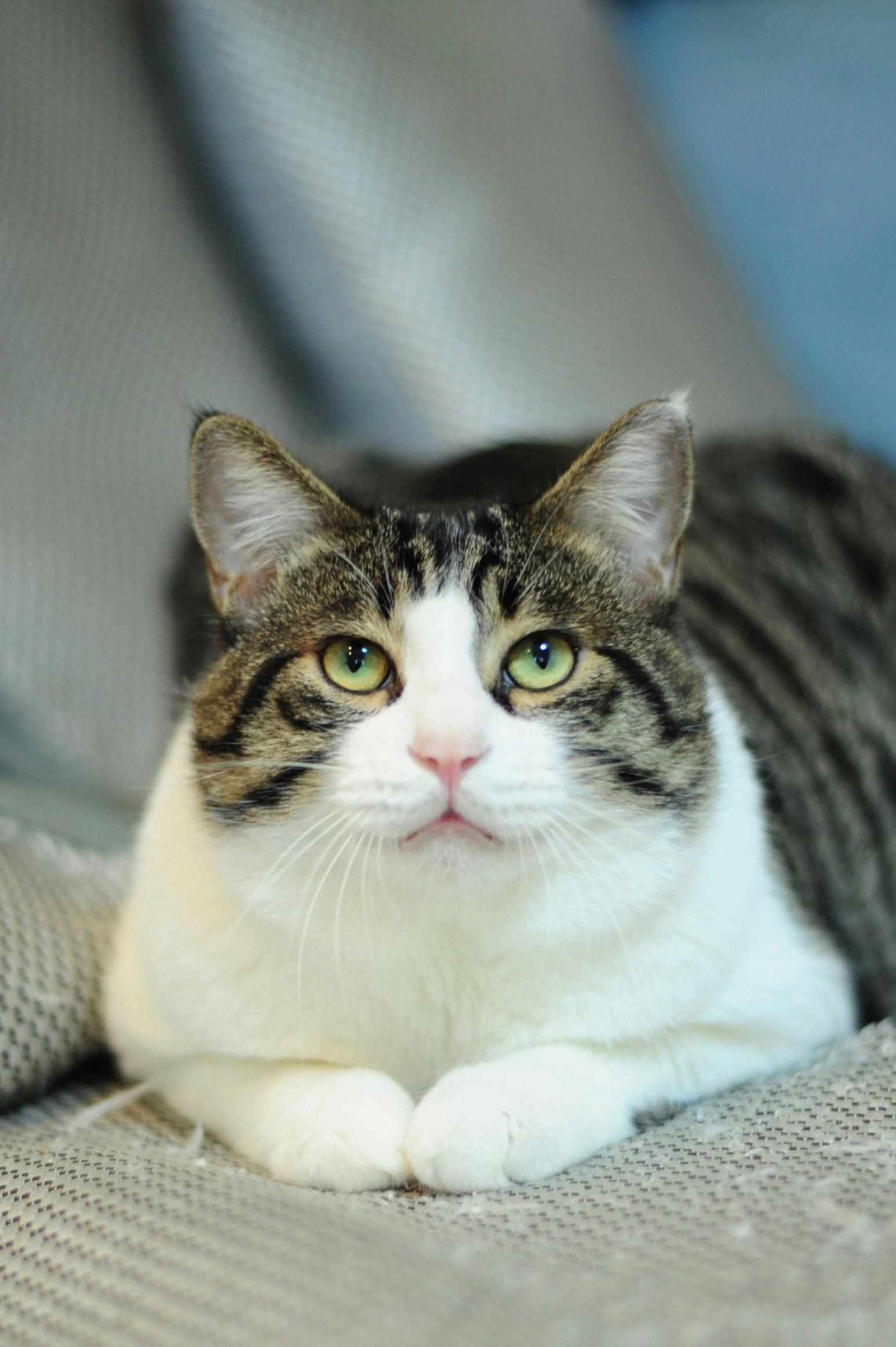 Avatar of user Fenghua